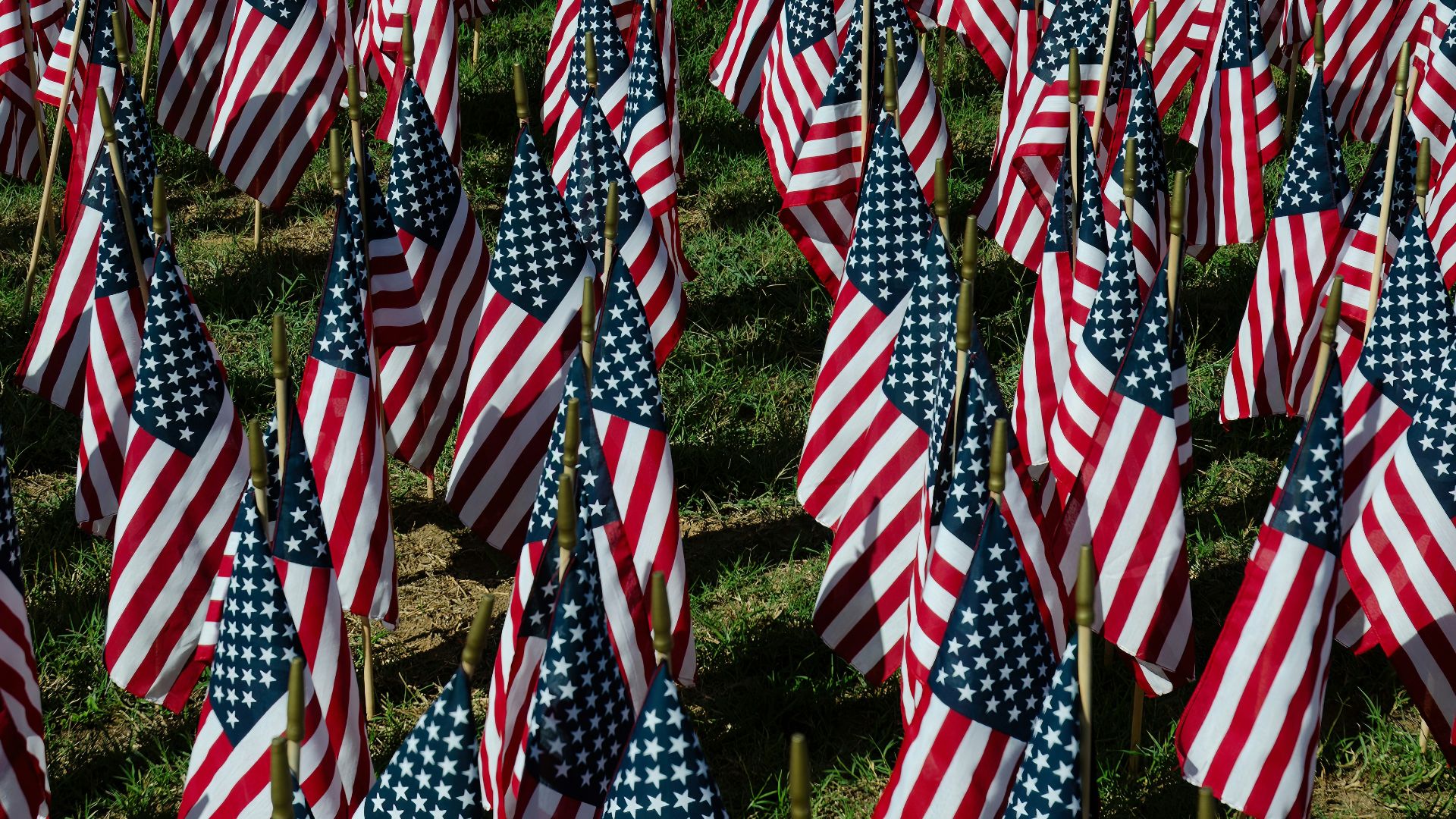a field full of american flags with a sky background