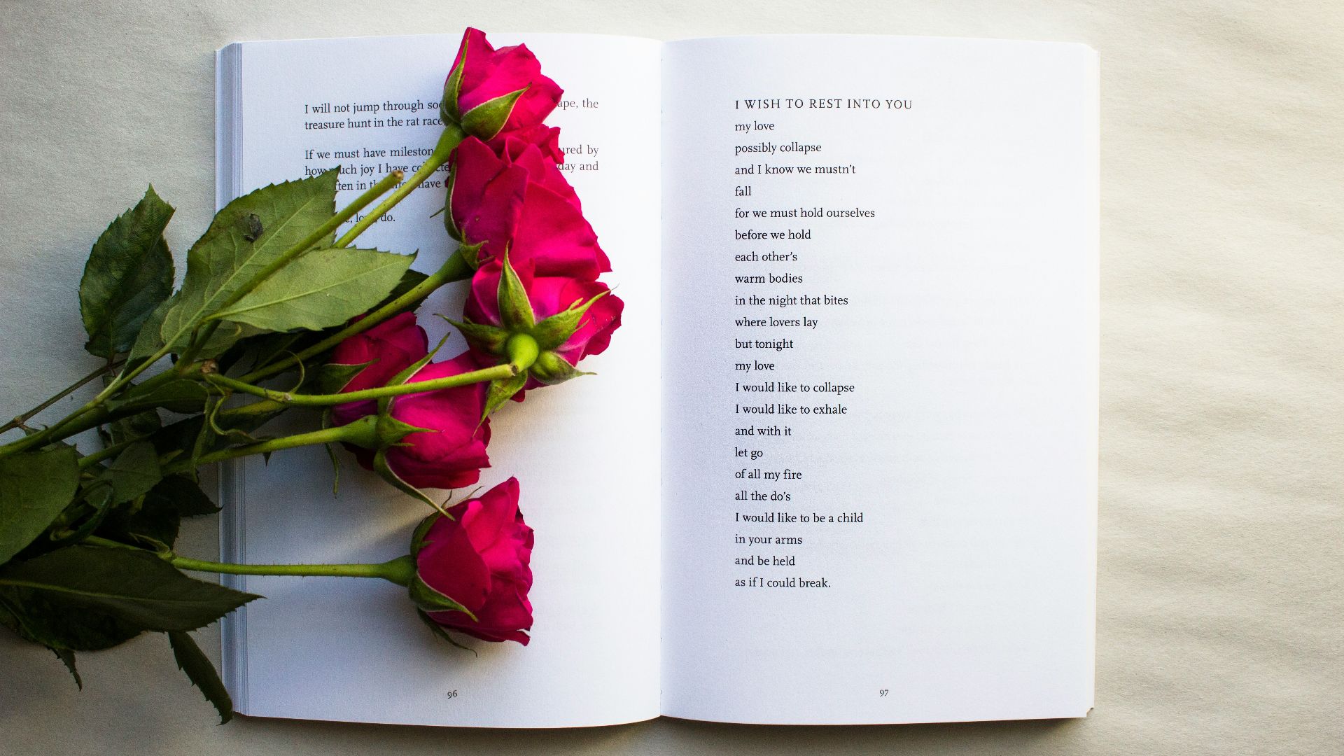 red roses on book