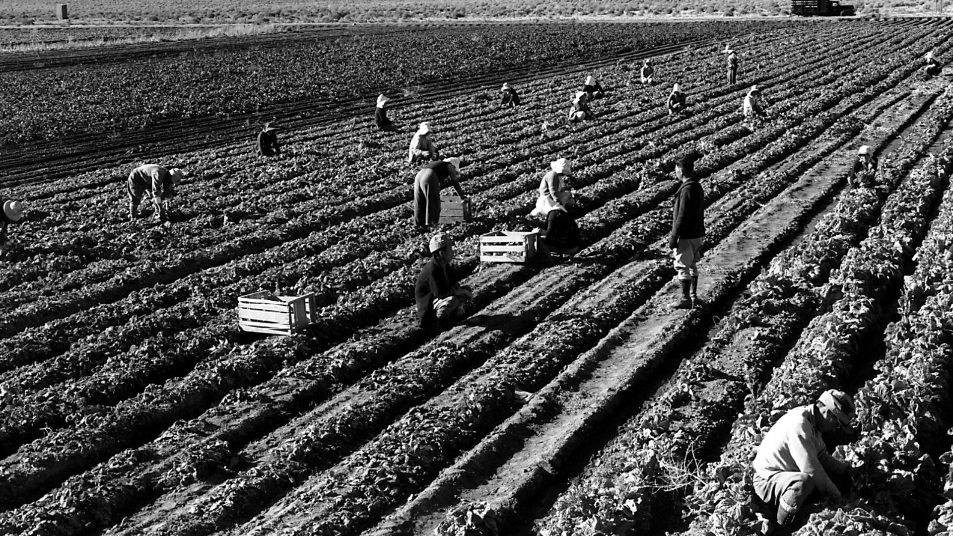 File:Ansel Adams - Farm workers and Mt. Williamson.jpg