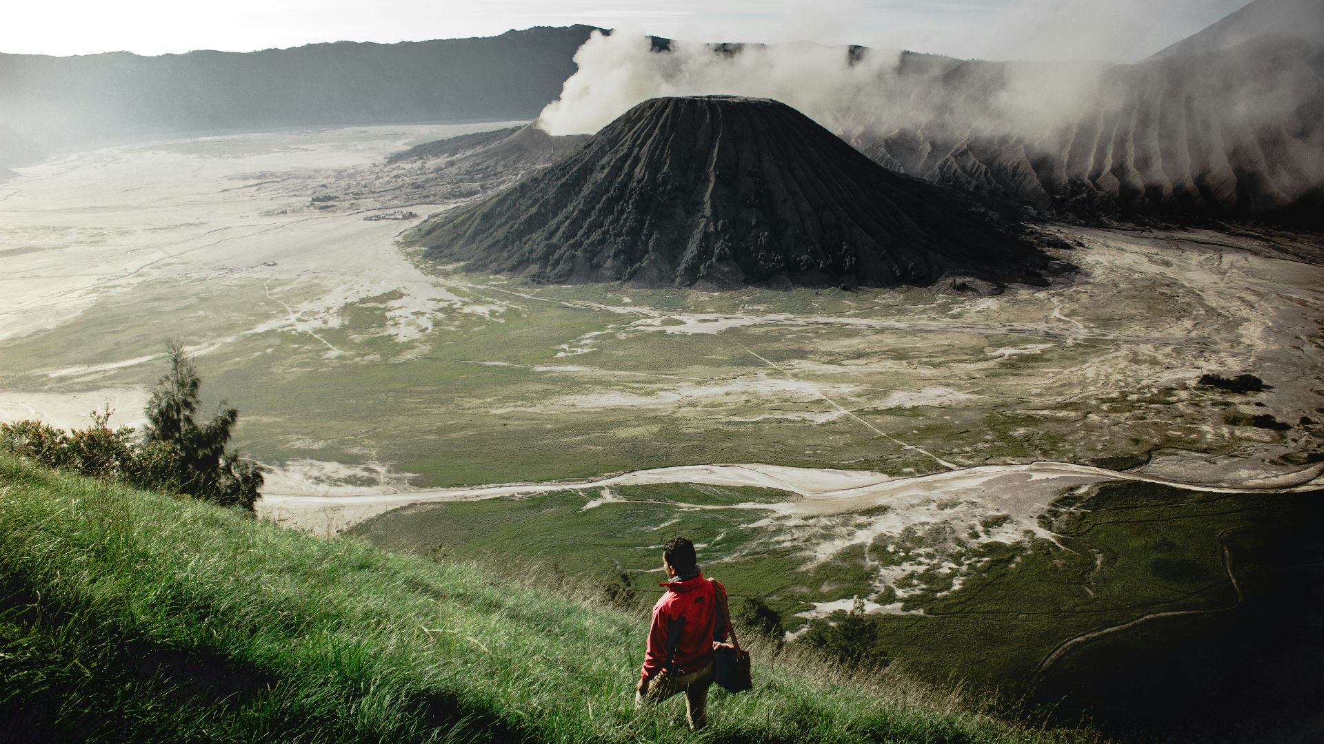 person standing on grass field near mountain