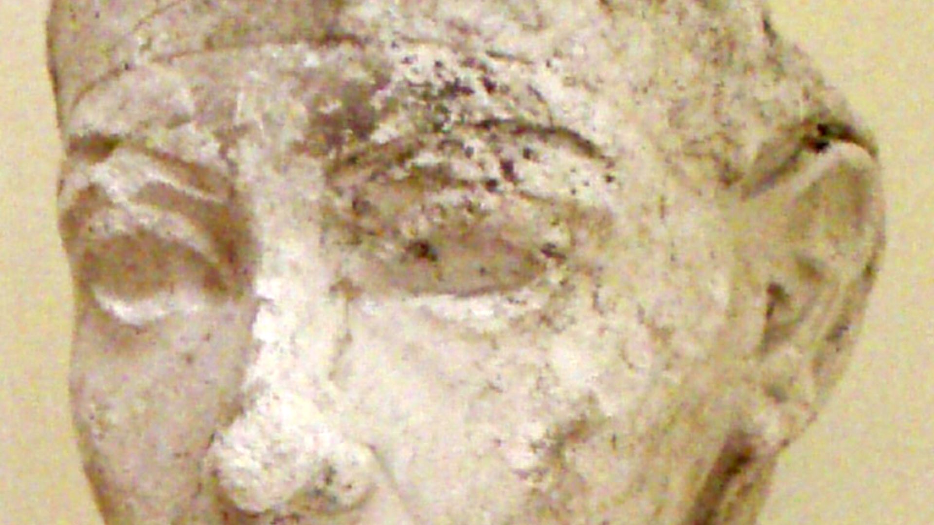 File:PortraitStudyOfAkhenaten-ThutmoseWorkshop EgyptianMuseumBerlin.png