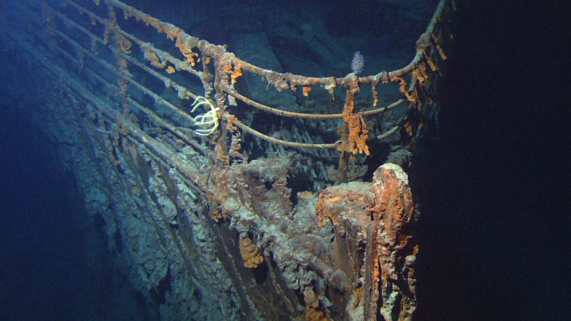 File:Titanic wreck bow.jpg