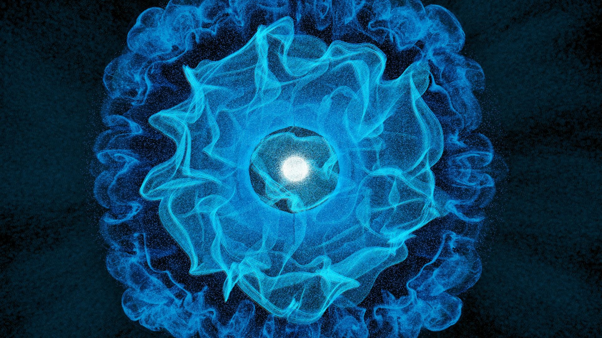 A blue flower with a white center on a black background