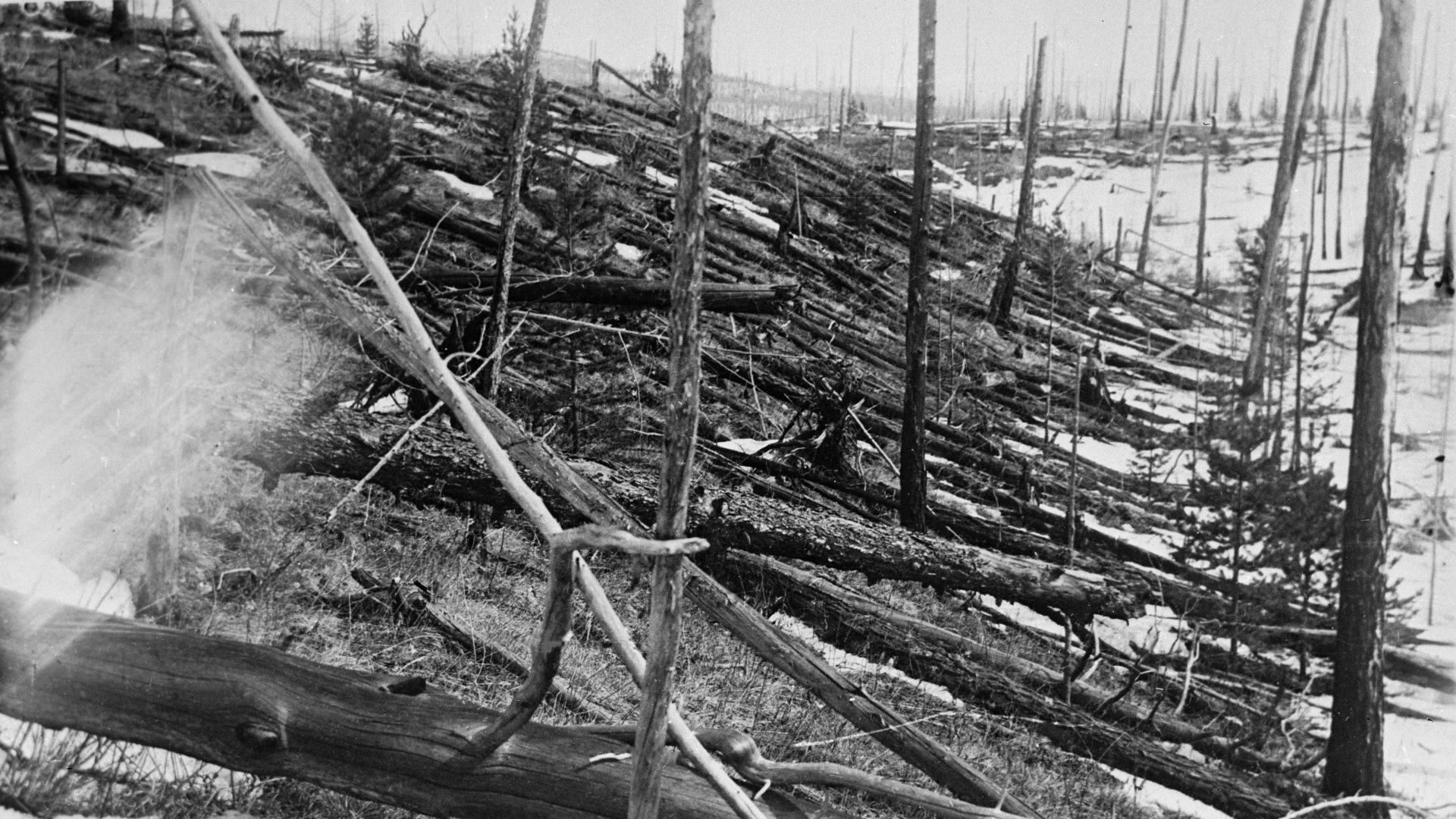 File:Tunguska Ereignis-1.jpg
