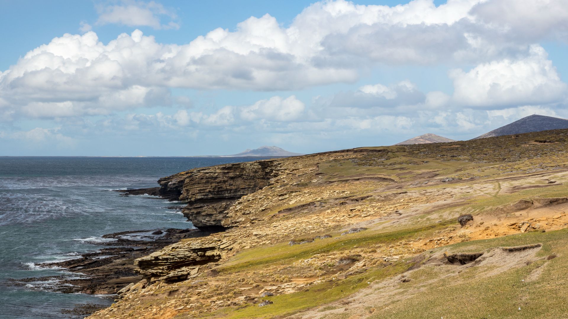 File:FAL-2017-Saunders Island, Falkland Islands-Coastal landscape.jpg