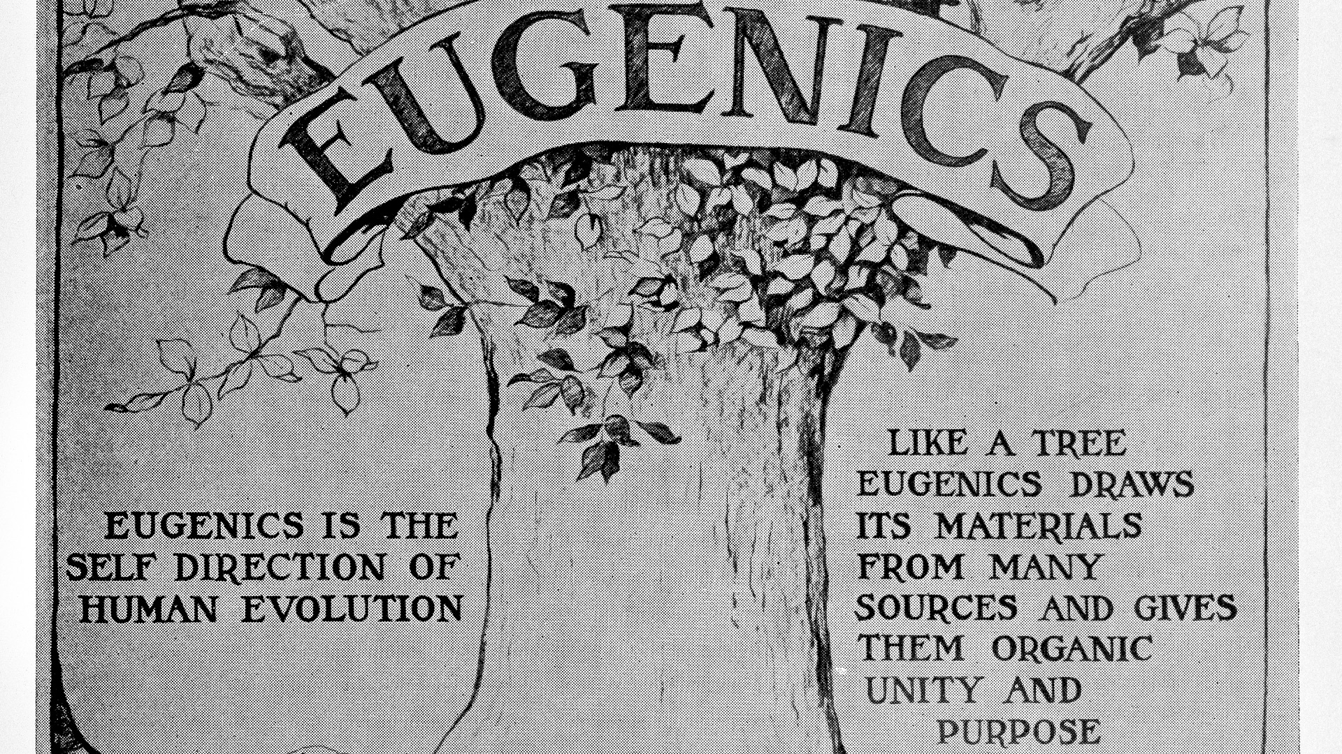 File:A decade of progress in Eugenics. Scientifi Wellcome L0032341.jpg