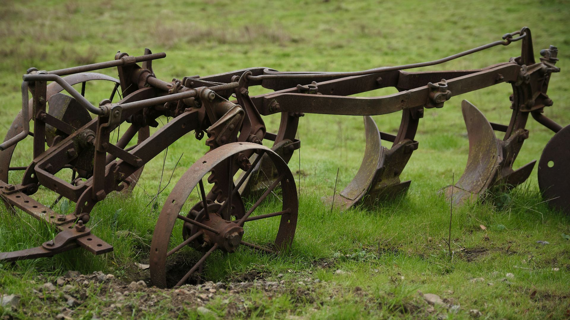 brown harrow disc on grass field