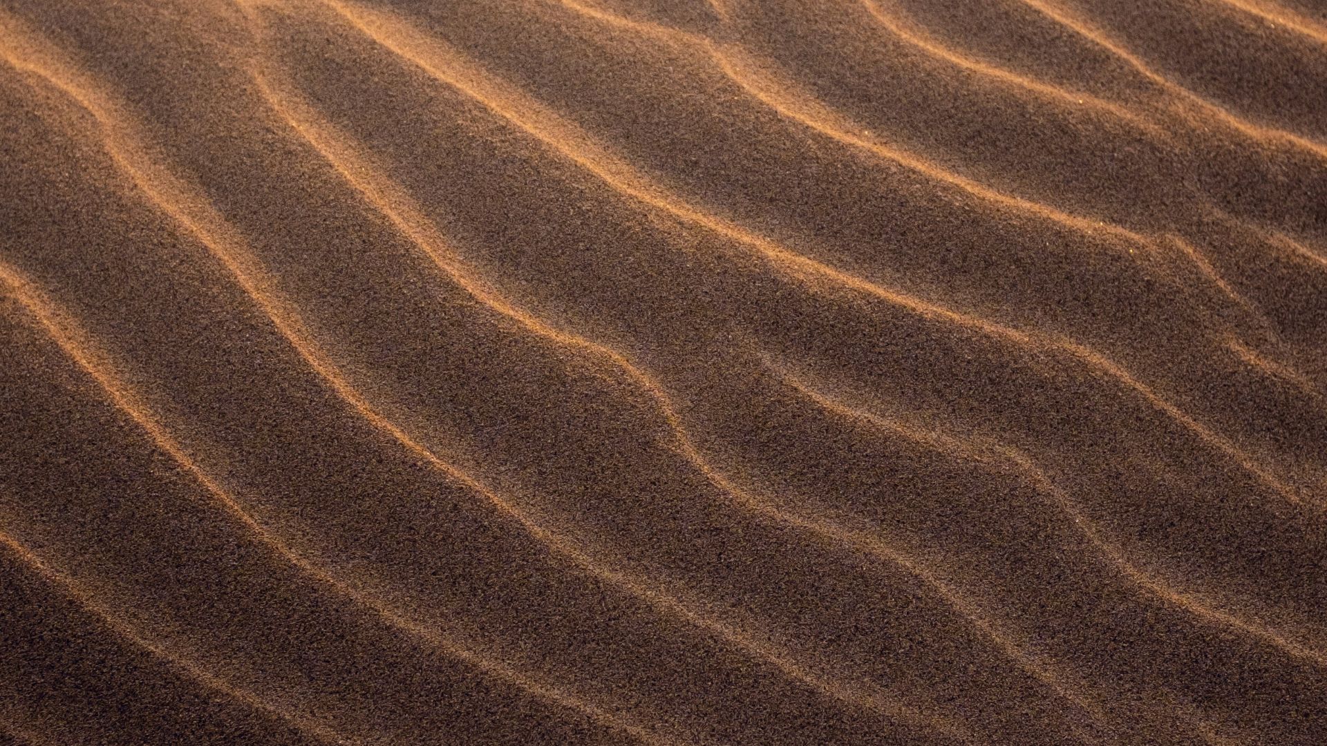 brown sand with water during daytime