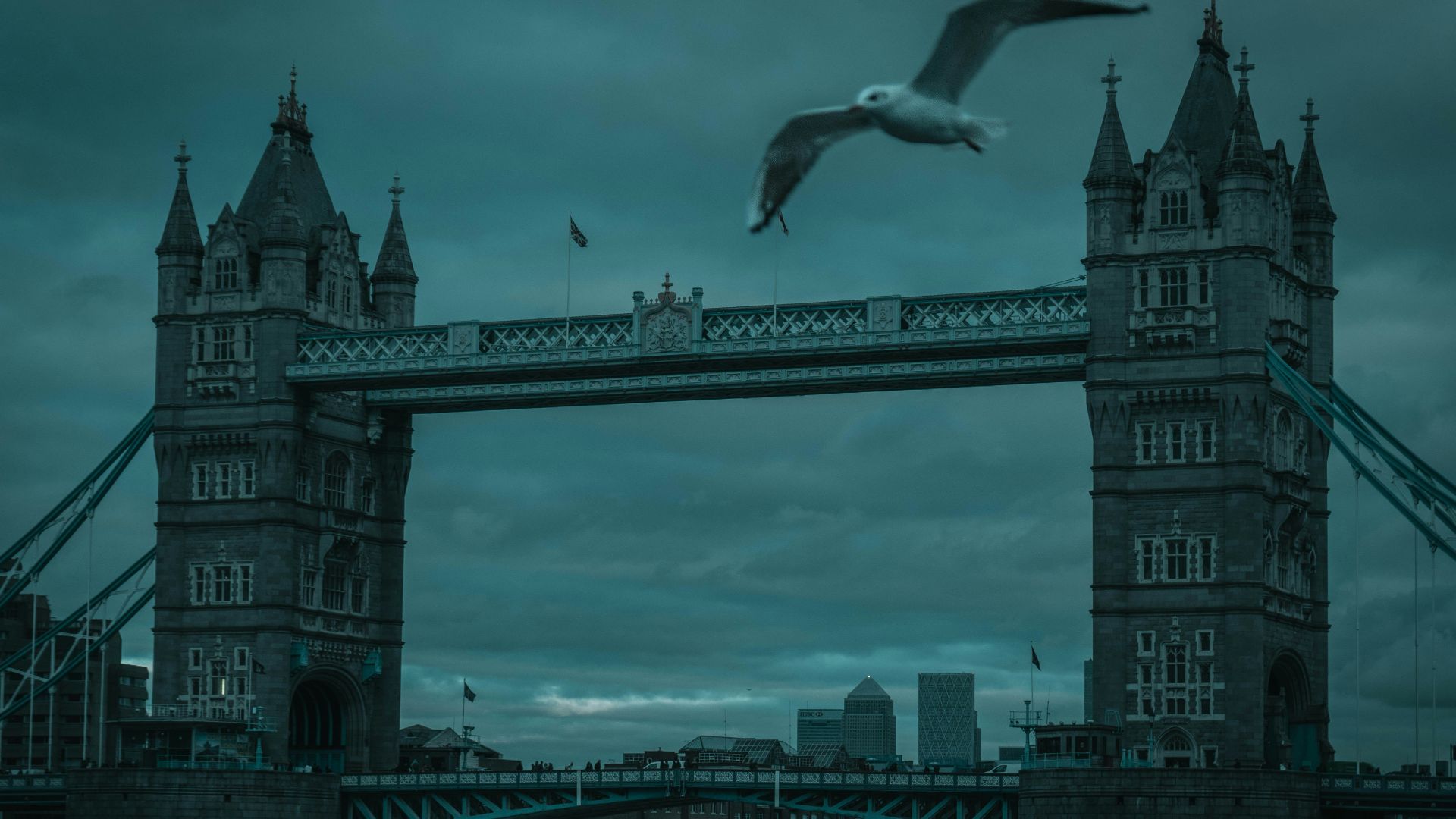 a bird flying in front of a bridge