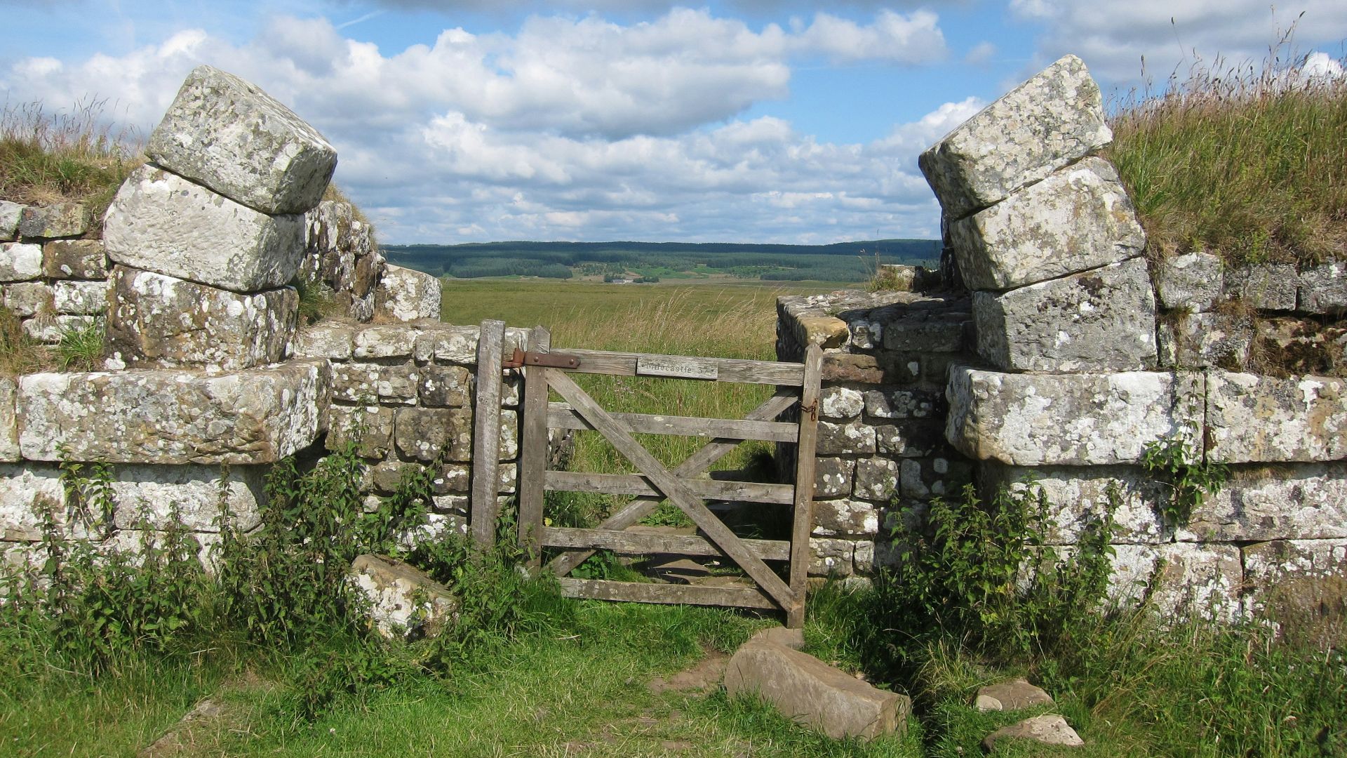 brown wooden fence on green grass field under blue sky during daytime