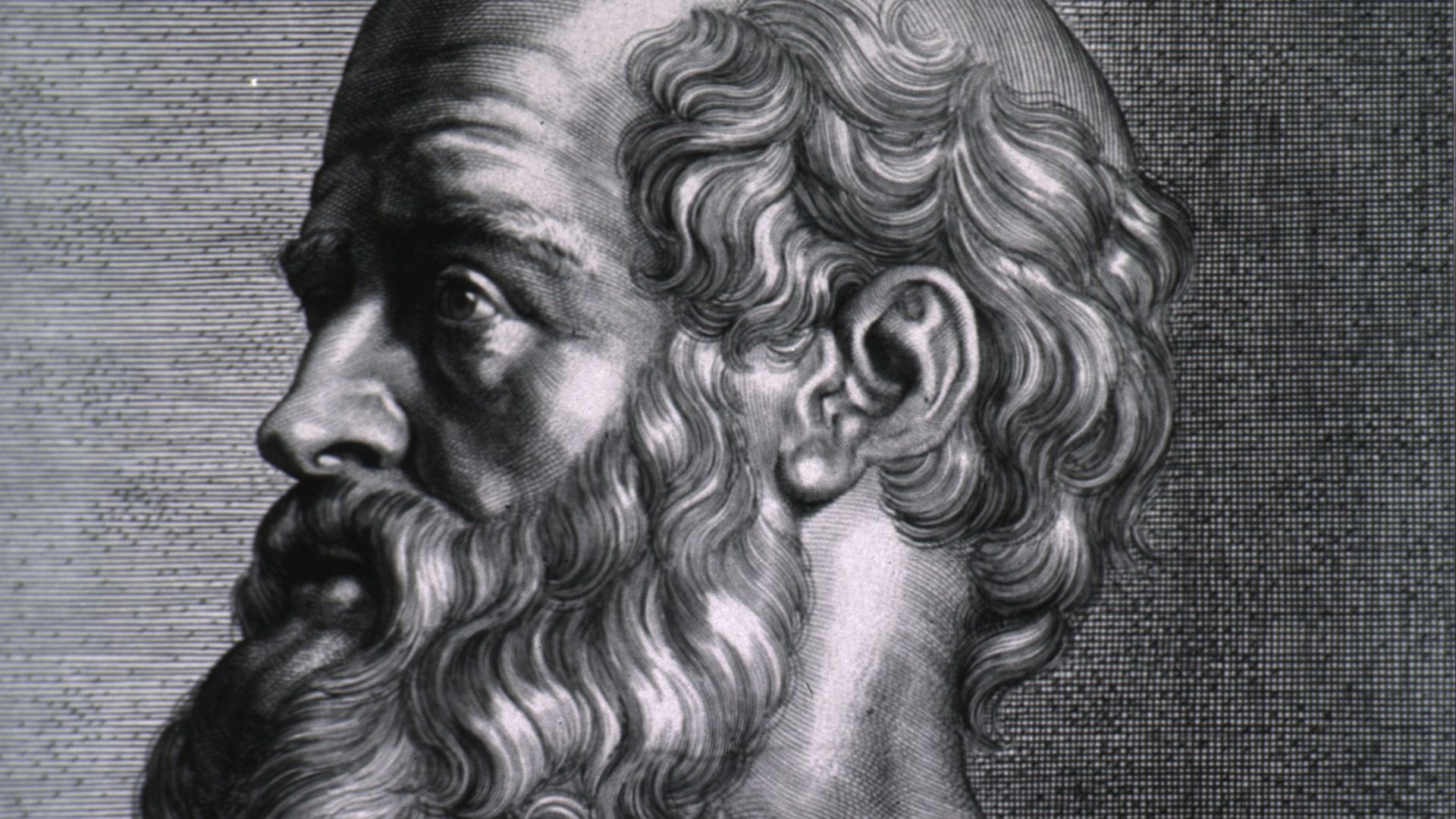 File:Hippocrates rubens.jpg