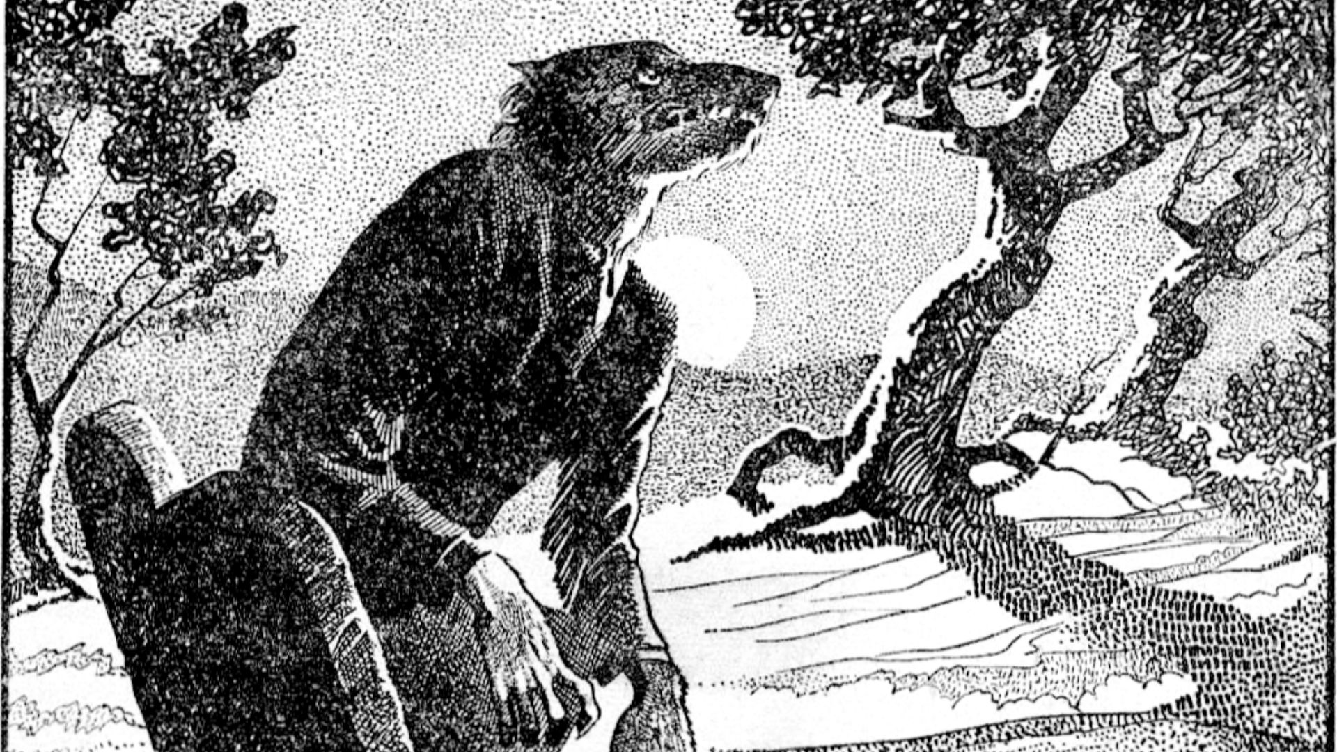 File:WeirdTalesv36n2pg038 The Werewolf Howls.png