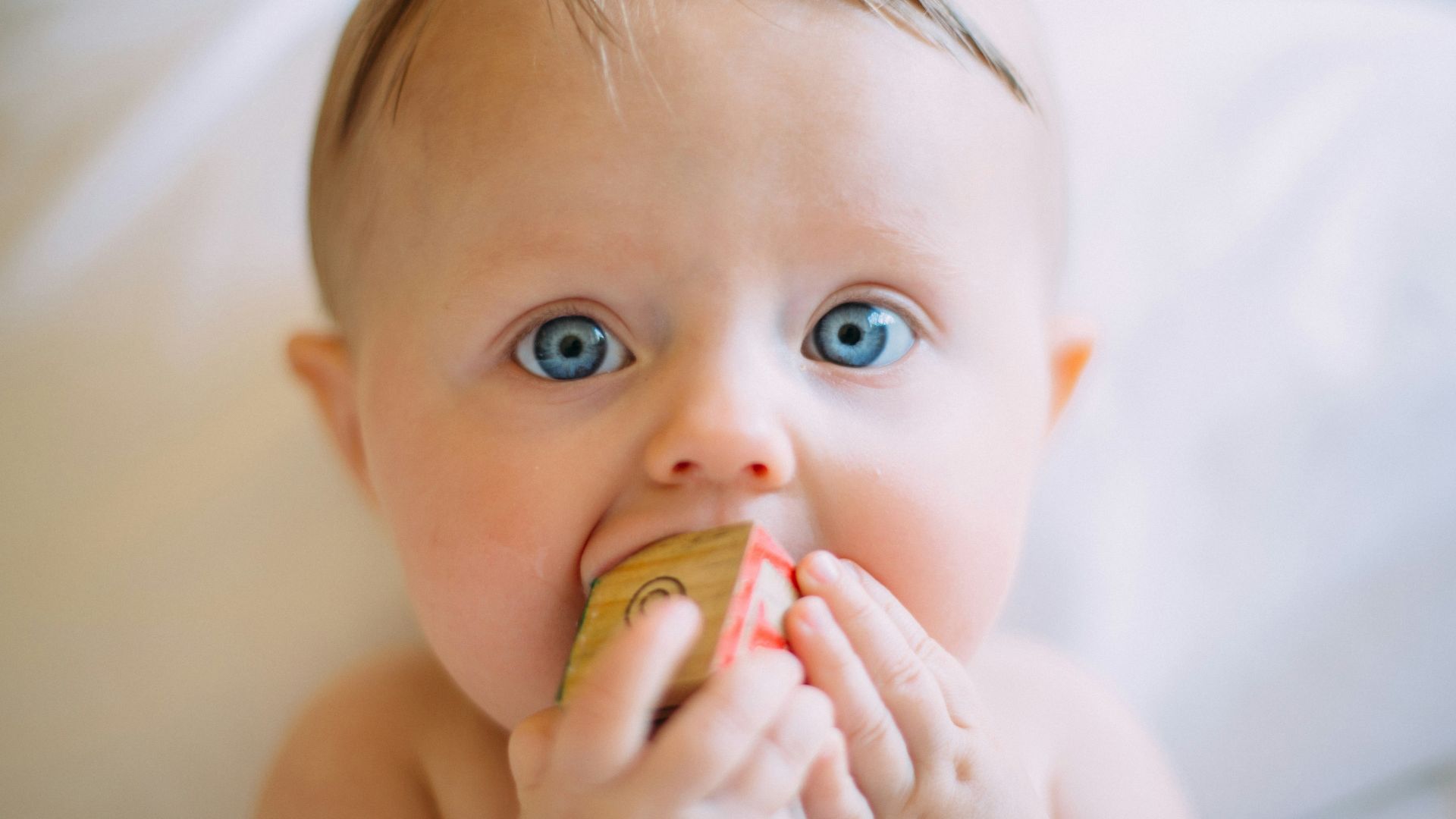 selective focus photography of baby holding wooden cube