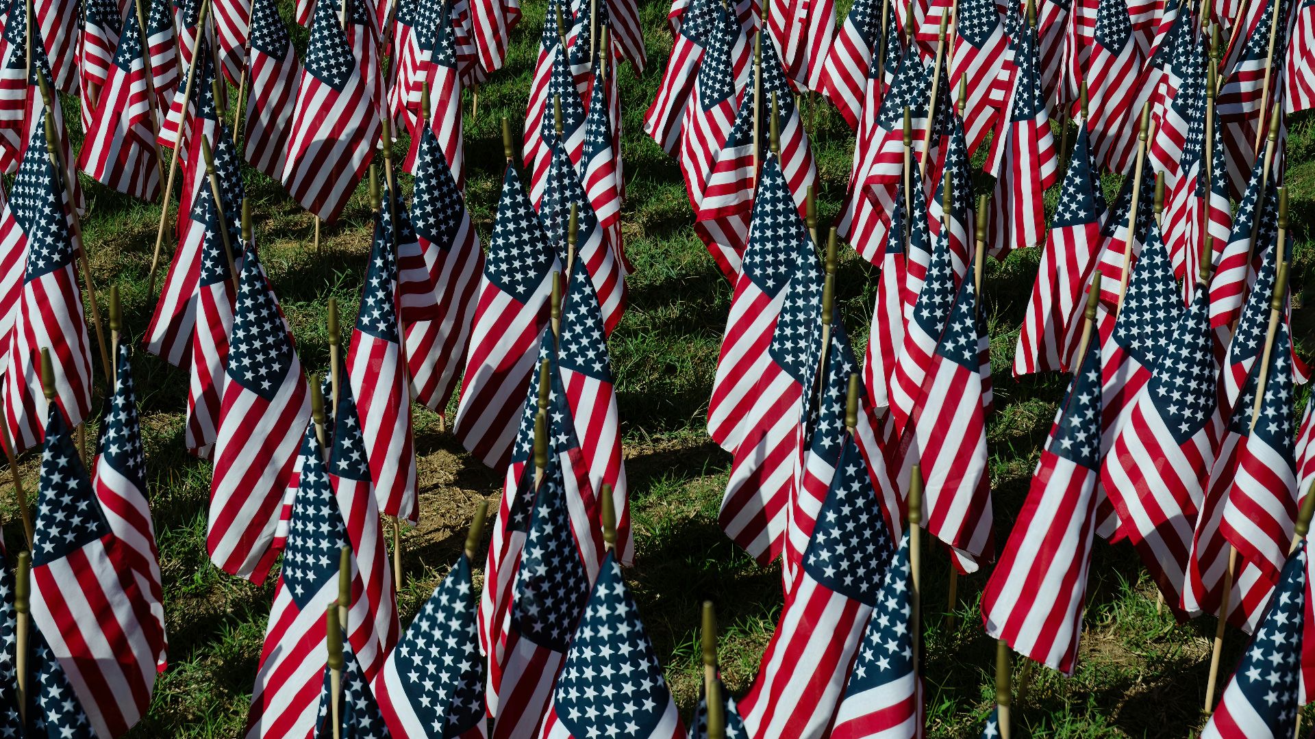 a field full of american flags with a sky background