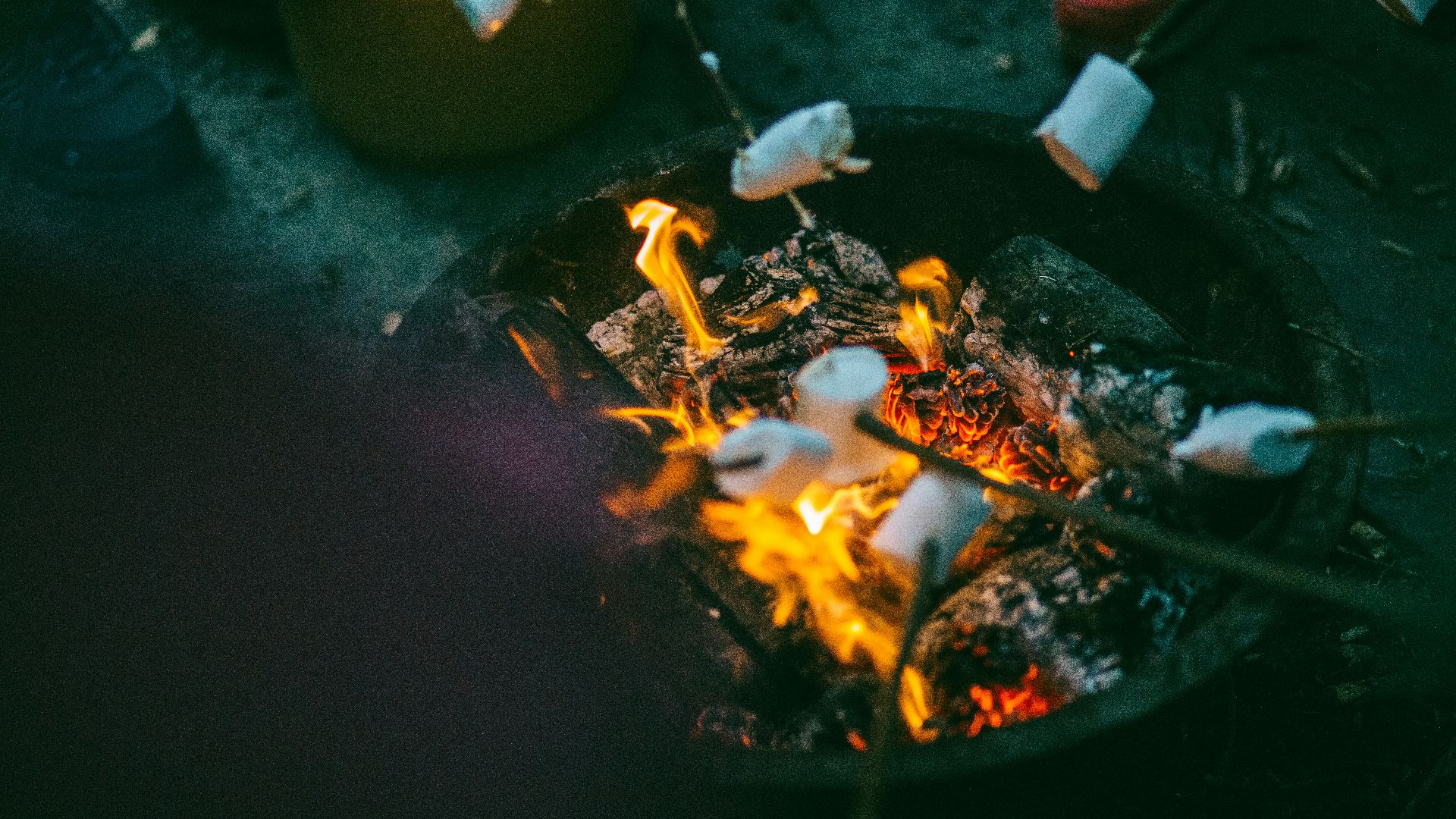 people grilling marshmallows
