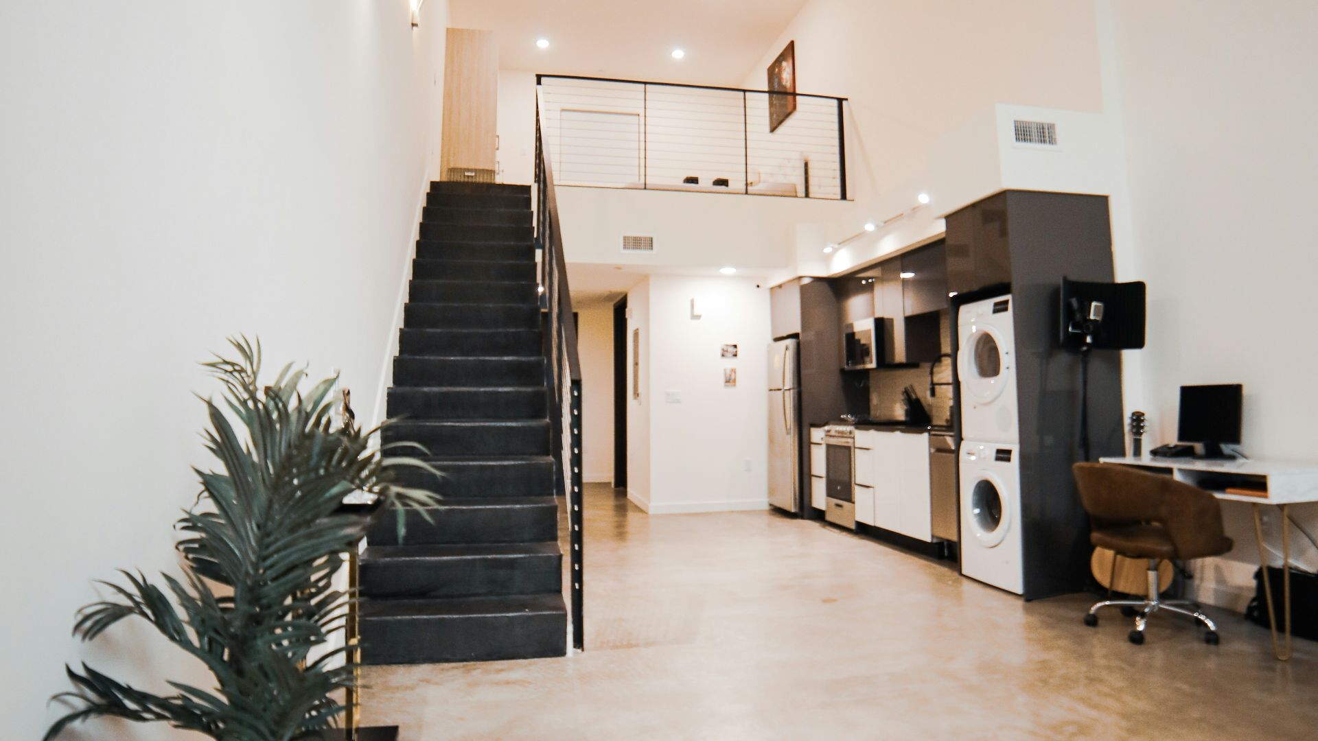 green plant beside white wall