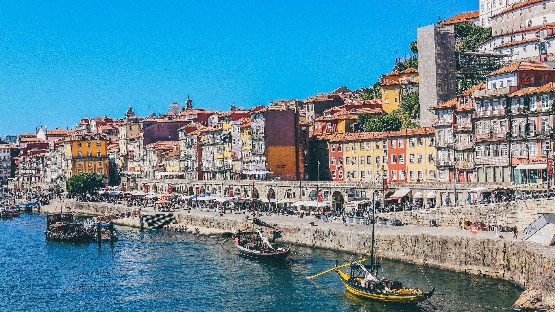boats docked near seaside promenade]