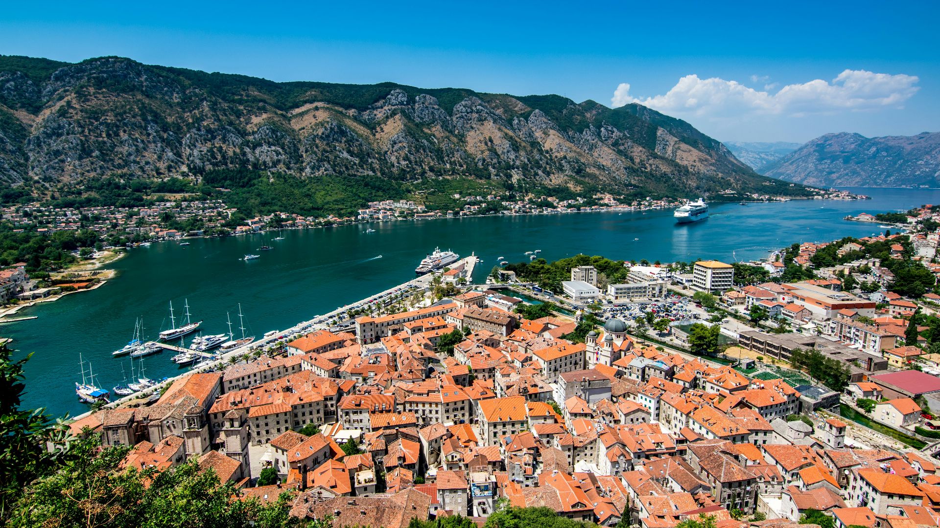houses near body of water during daytime