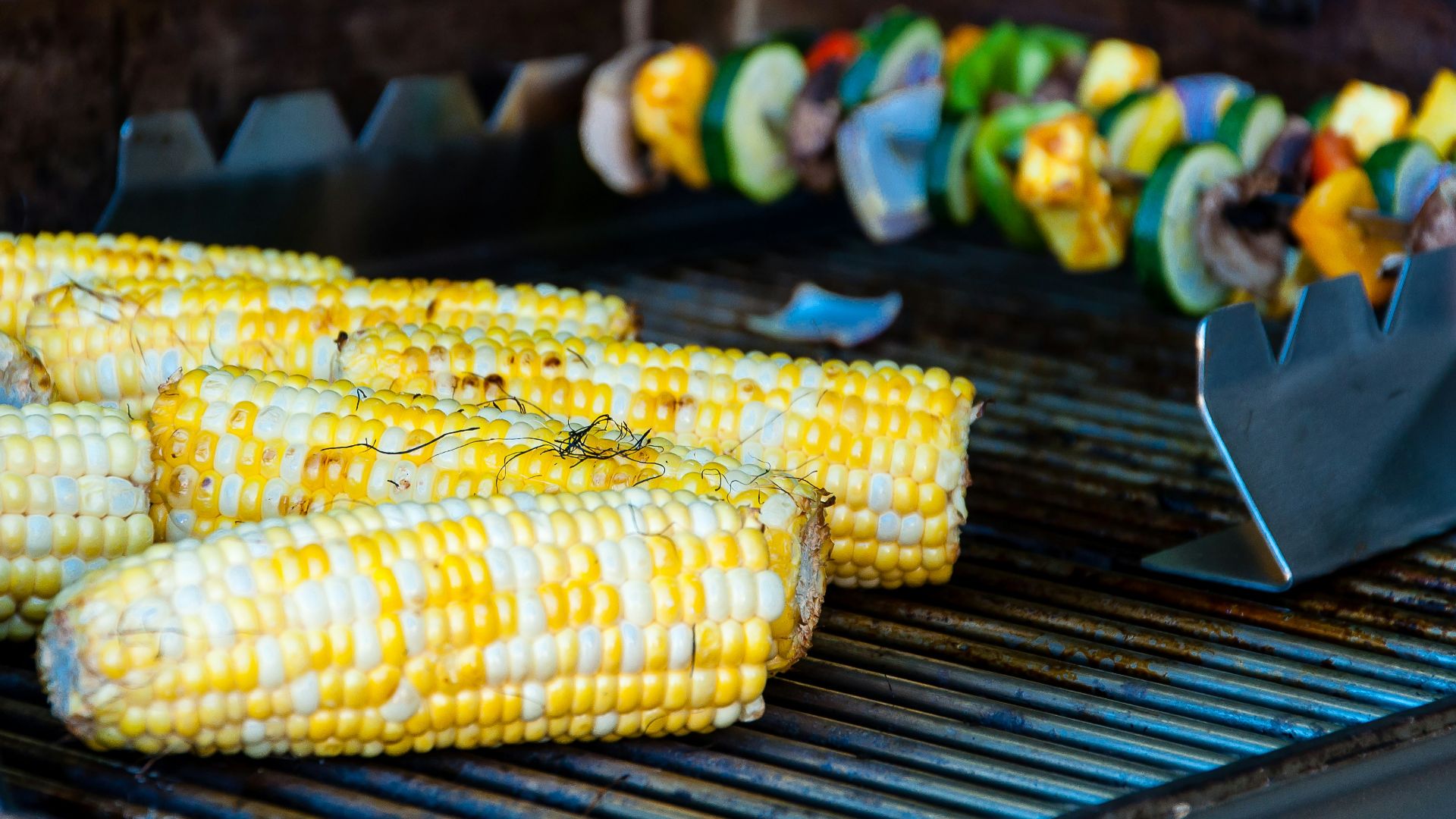 grilled corncobs