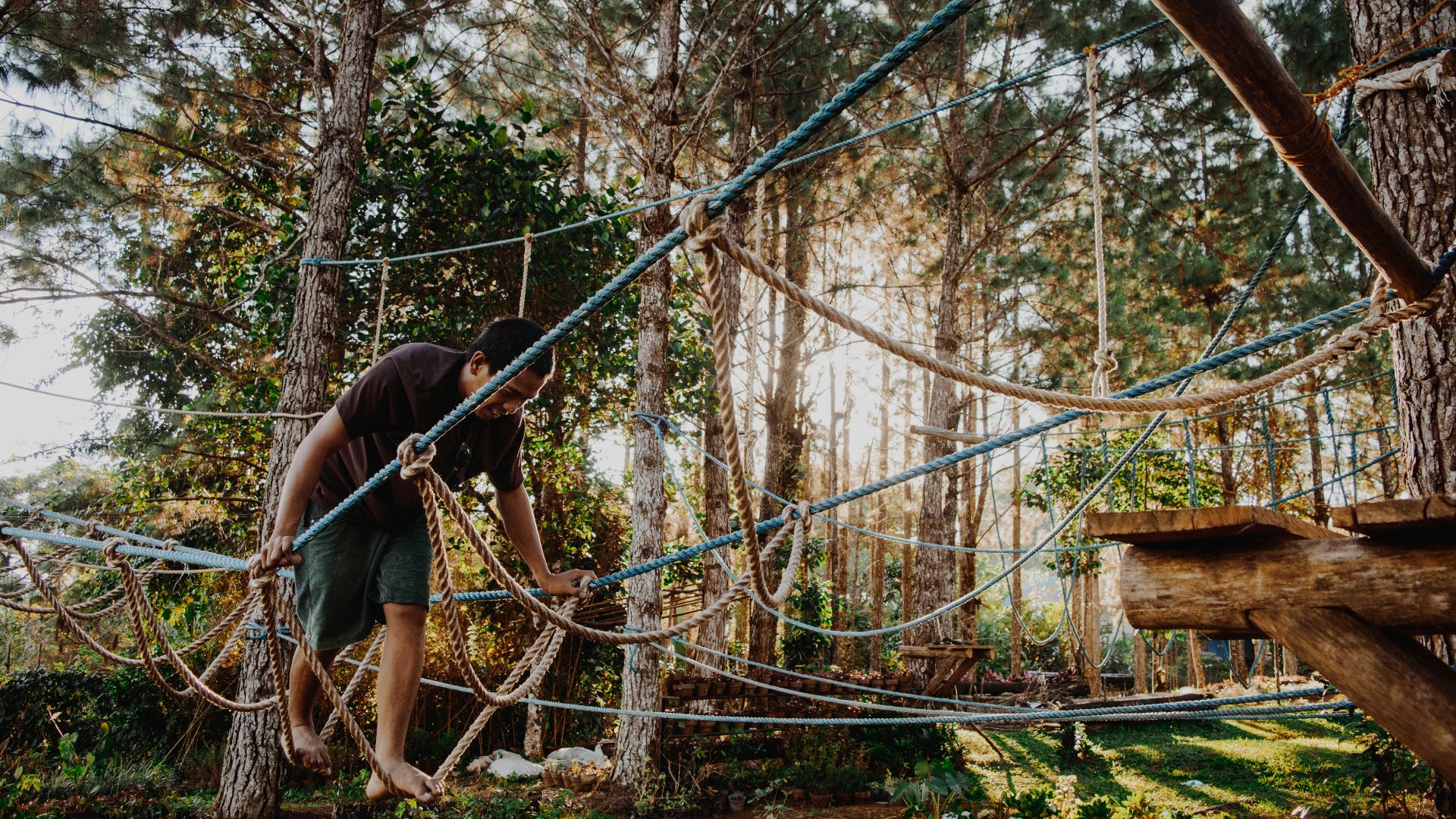photo of man walking on rope tree