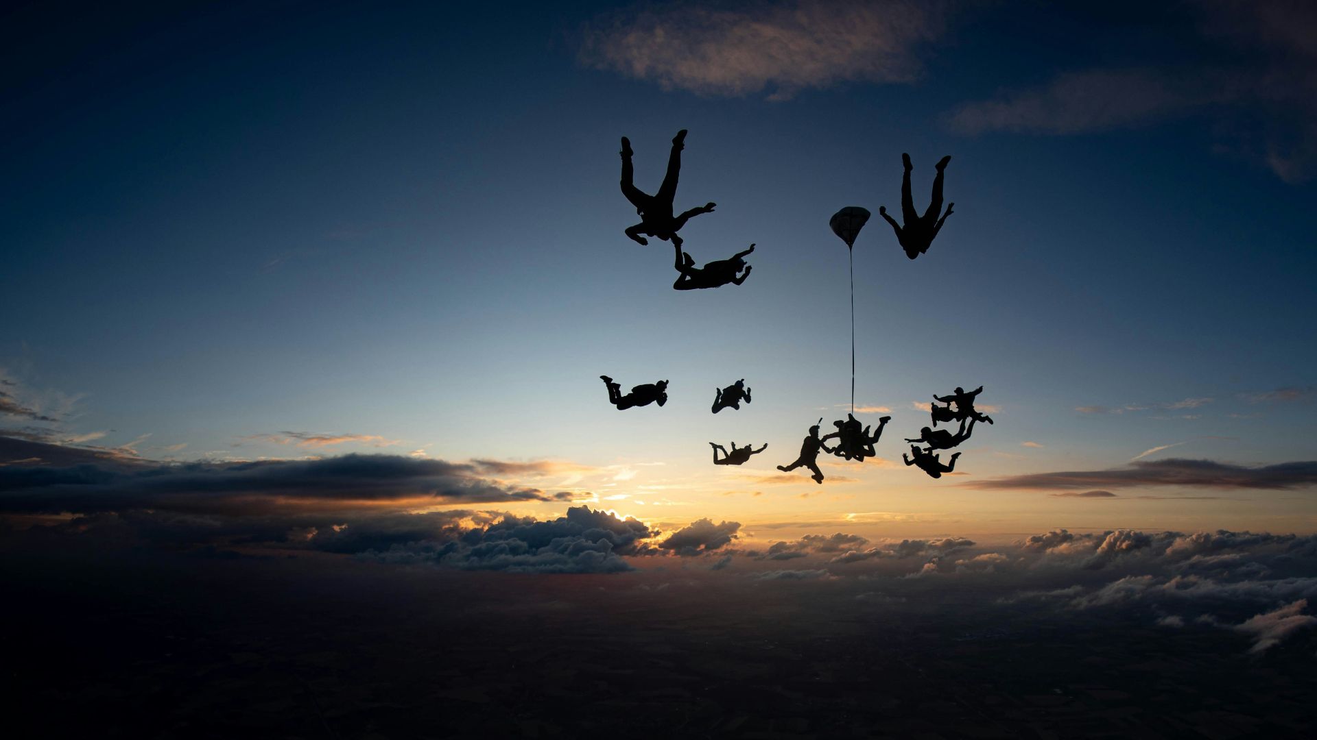 A group of birds flying in the sky