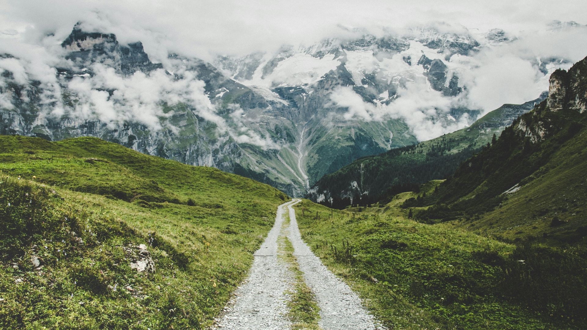grass field pathway