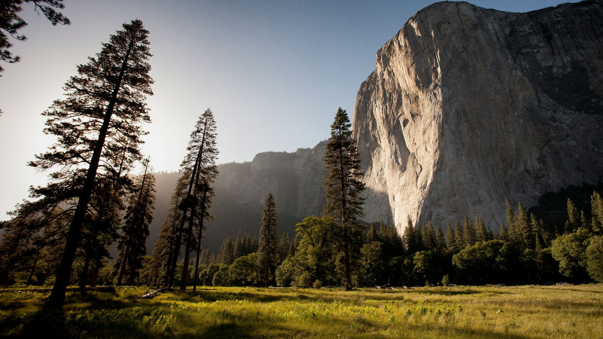 landmark photography of trees near rocky mountain under blue skies daytime