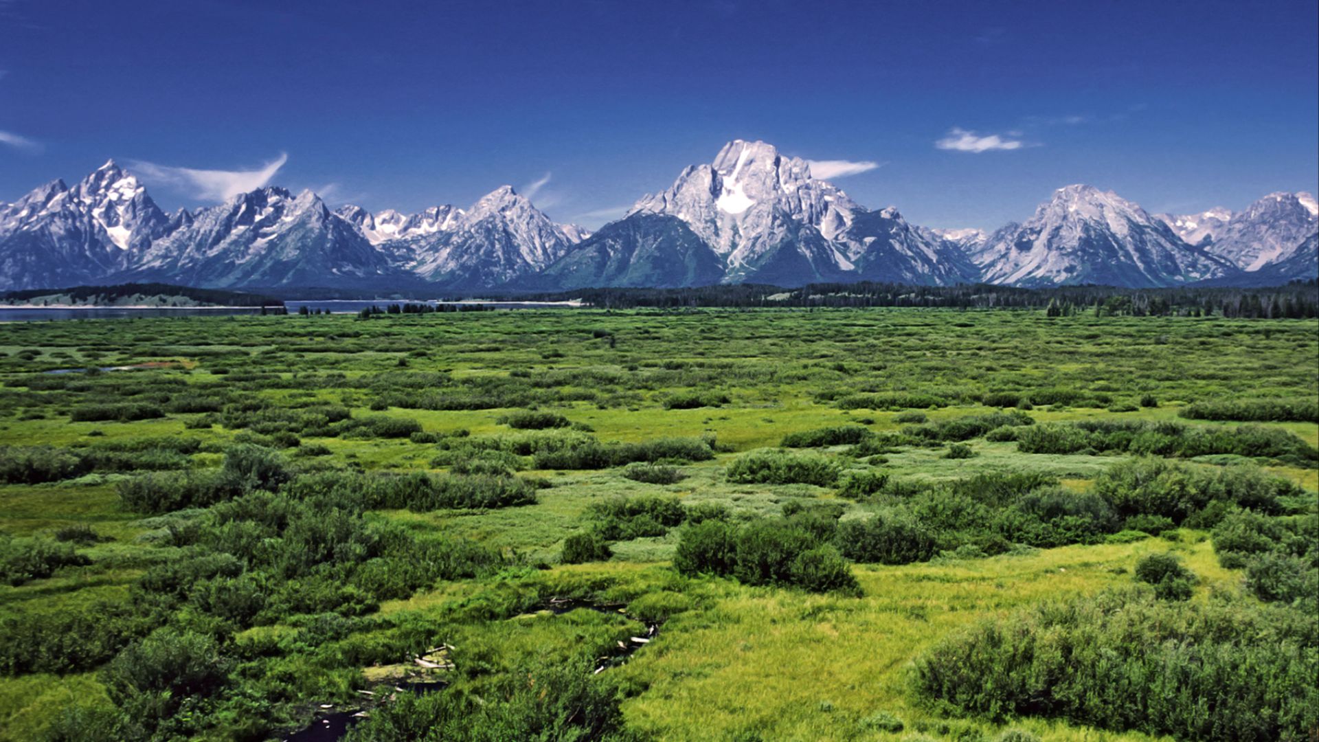 File:Willow Flats area and Teton Range in Grand Teton National Park.jpg