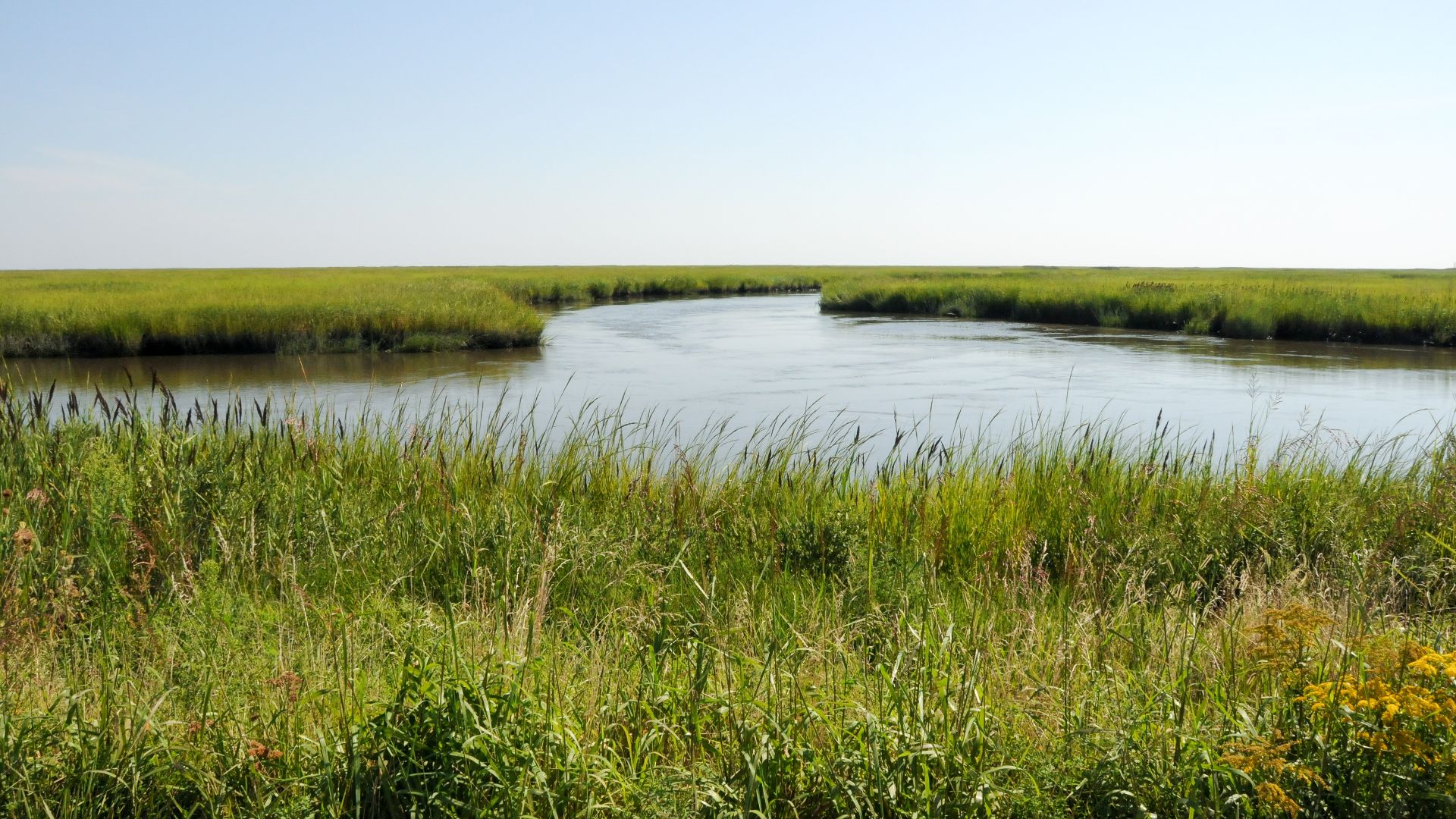 File:Bombay Hook National Wildlife Refuge (29181543632).jpg