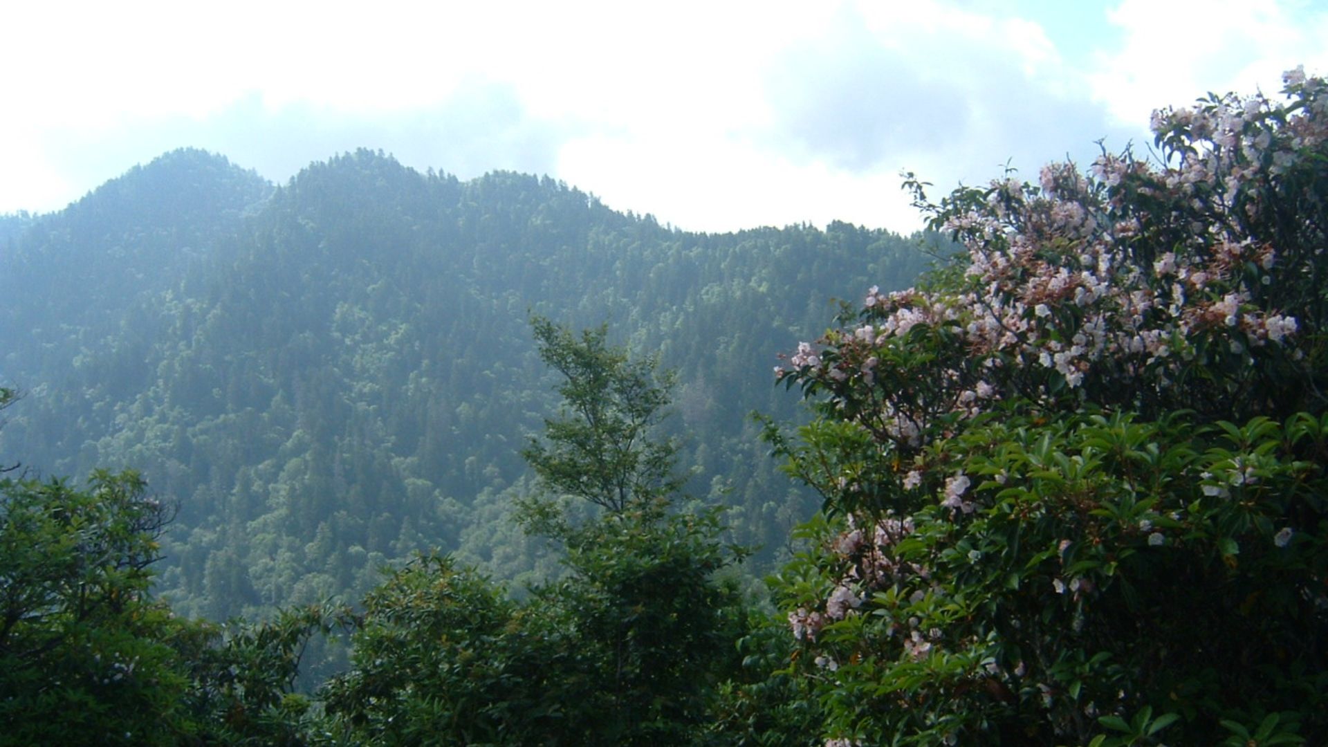 File:Great Smoky Mountains Overlook.JPG