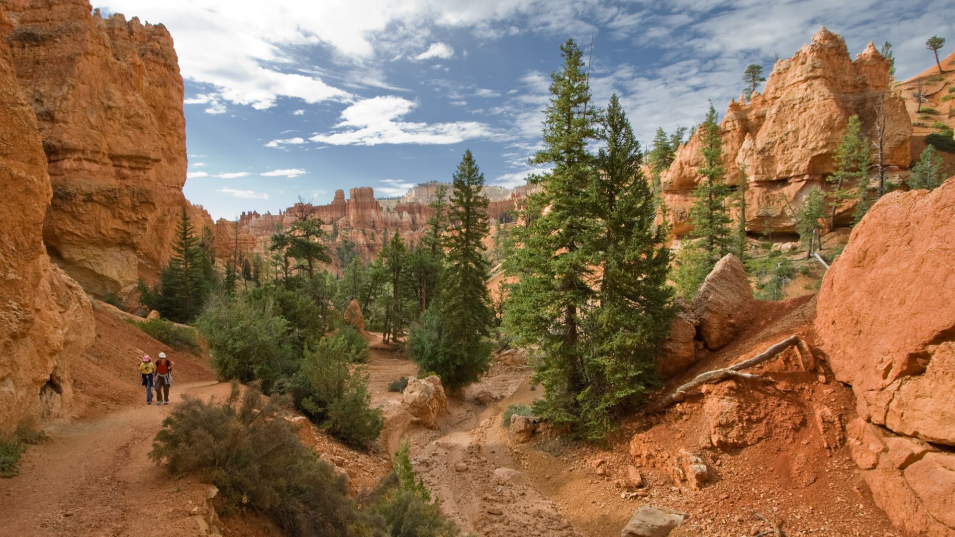 File:USA 10638 Bryce Canyon Luca Galuzzi 2007.jpg