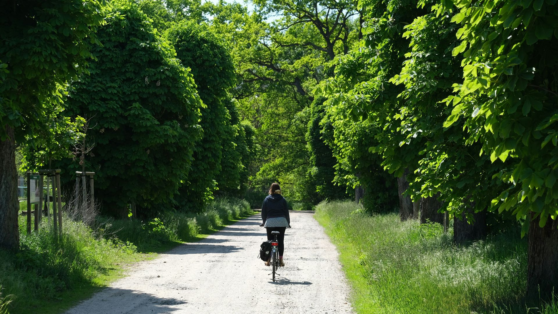 man in black jacket riding bicycle on gray asphalt road during daytime
