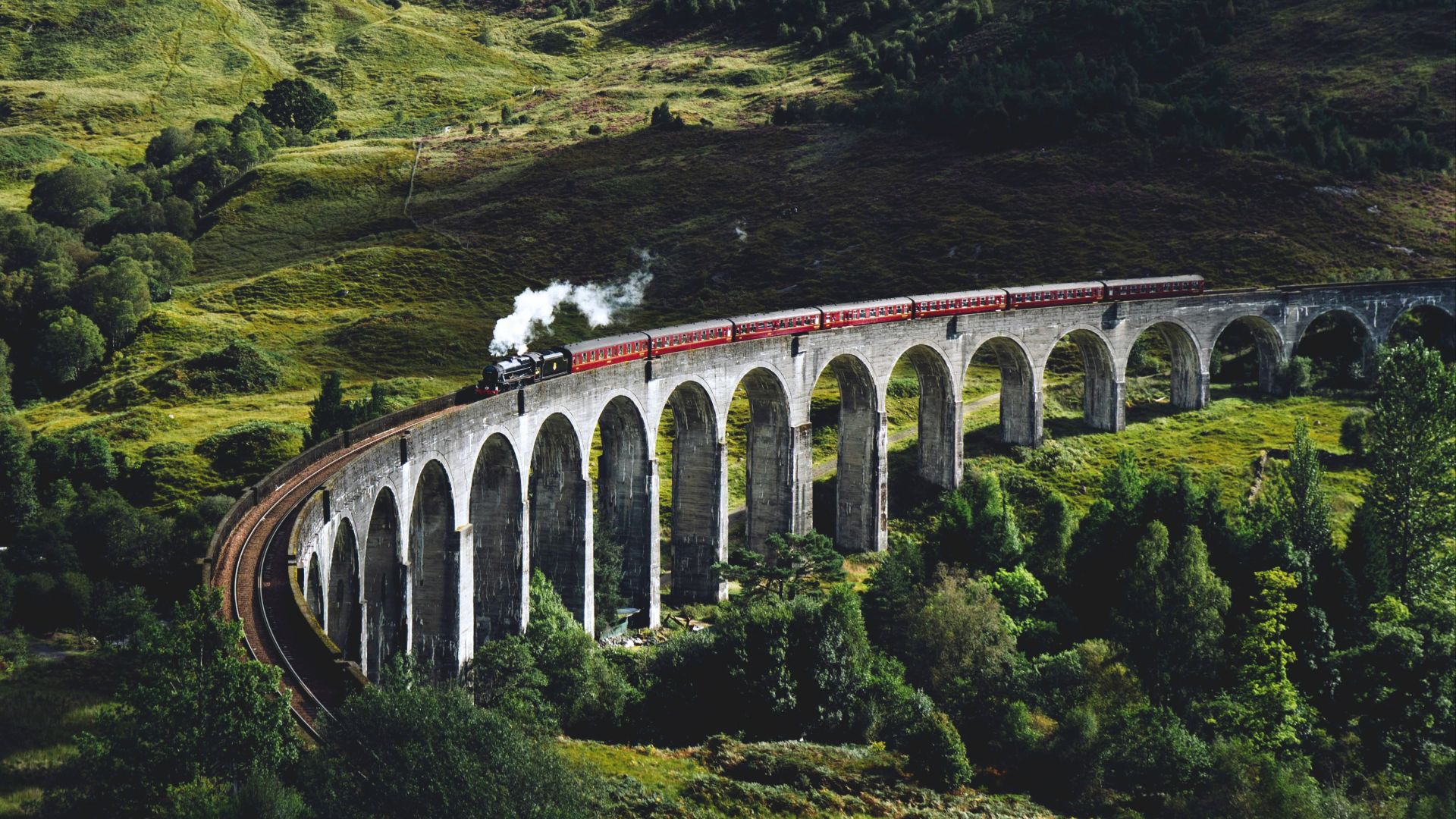 train on bridge surrounded with trees at daytime