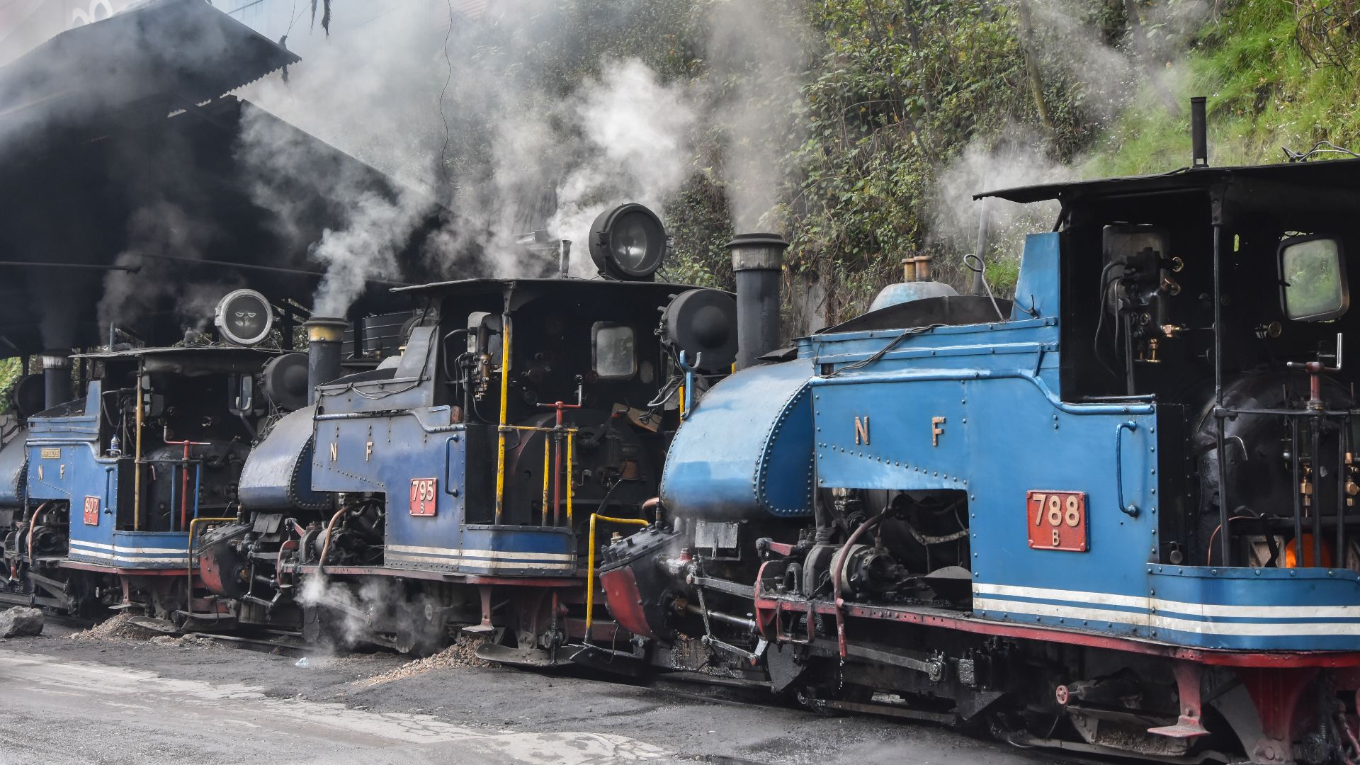 File:Darjeeling Himalayan Railway,toy train (1).jpg