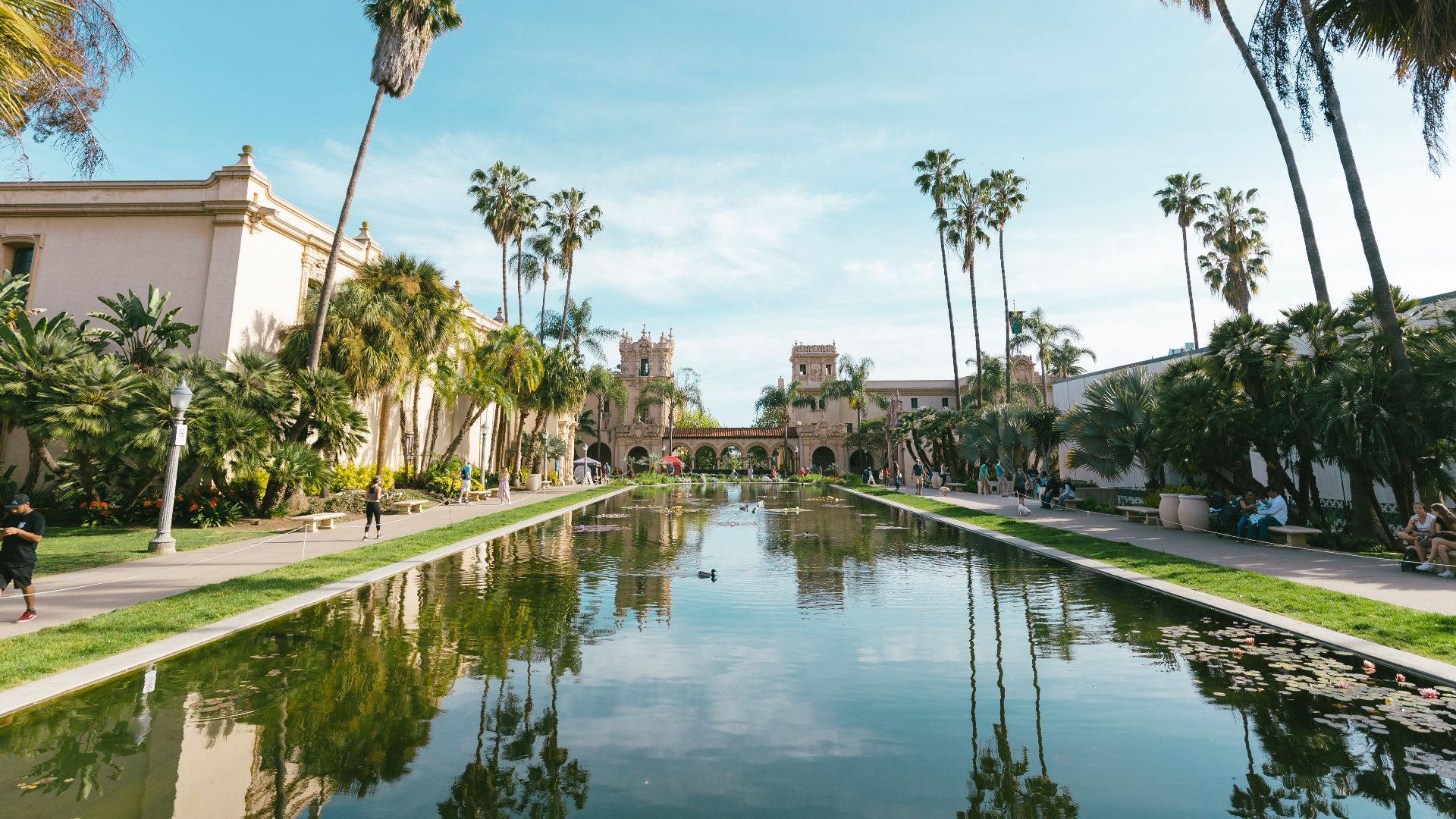 File:Lily Pond, Balboa Park, San Diego, California.jpg