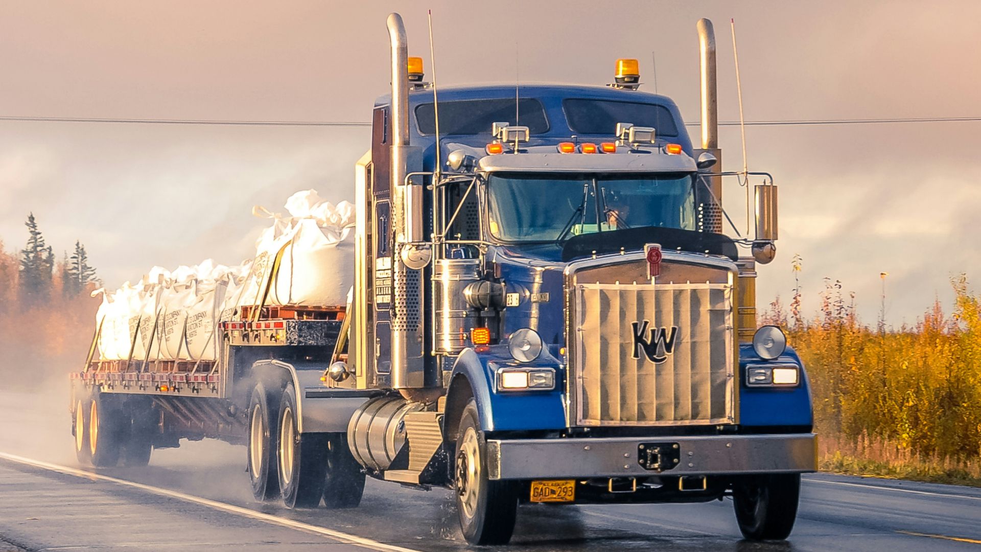 white and blue truck on road during daytime