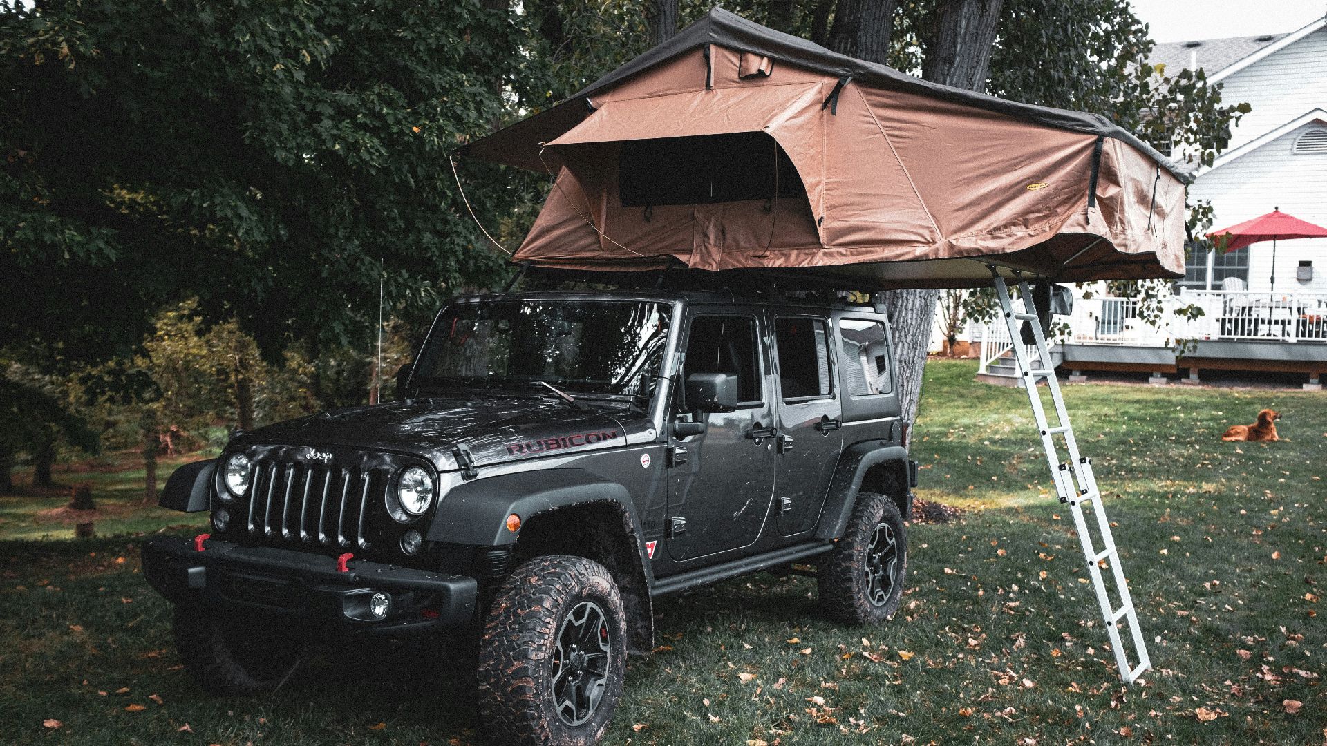 black jeep wrangler parked near brown wooden house during daytime