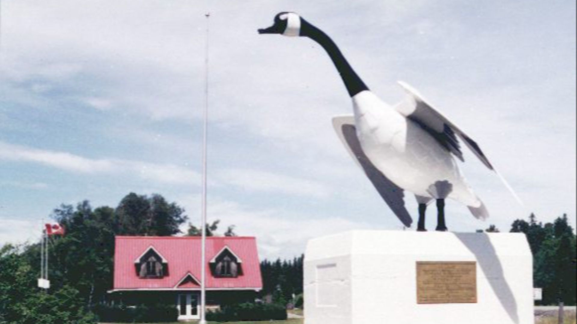 File:Wawa Goose (5399707968).jpg