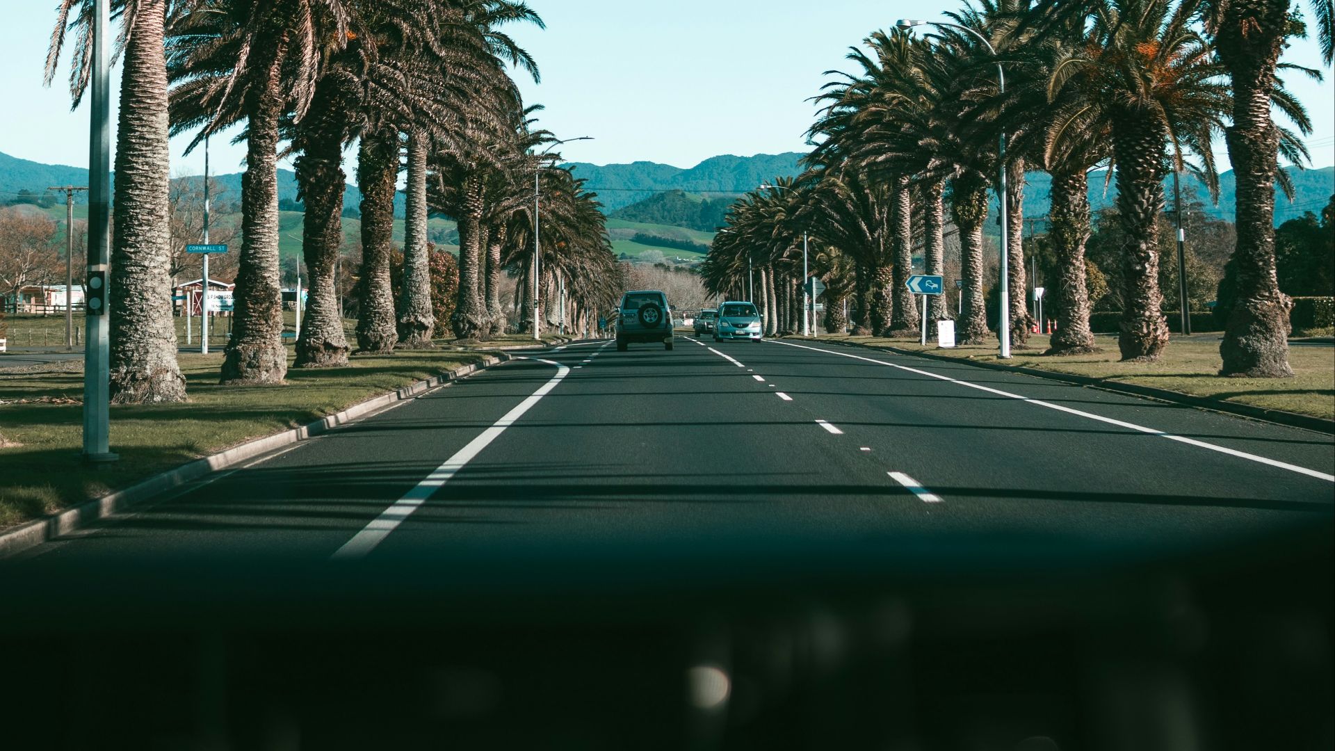 black car on road between palm trees during daytime