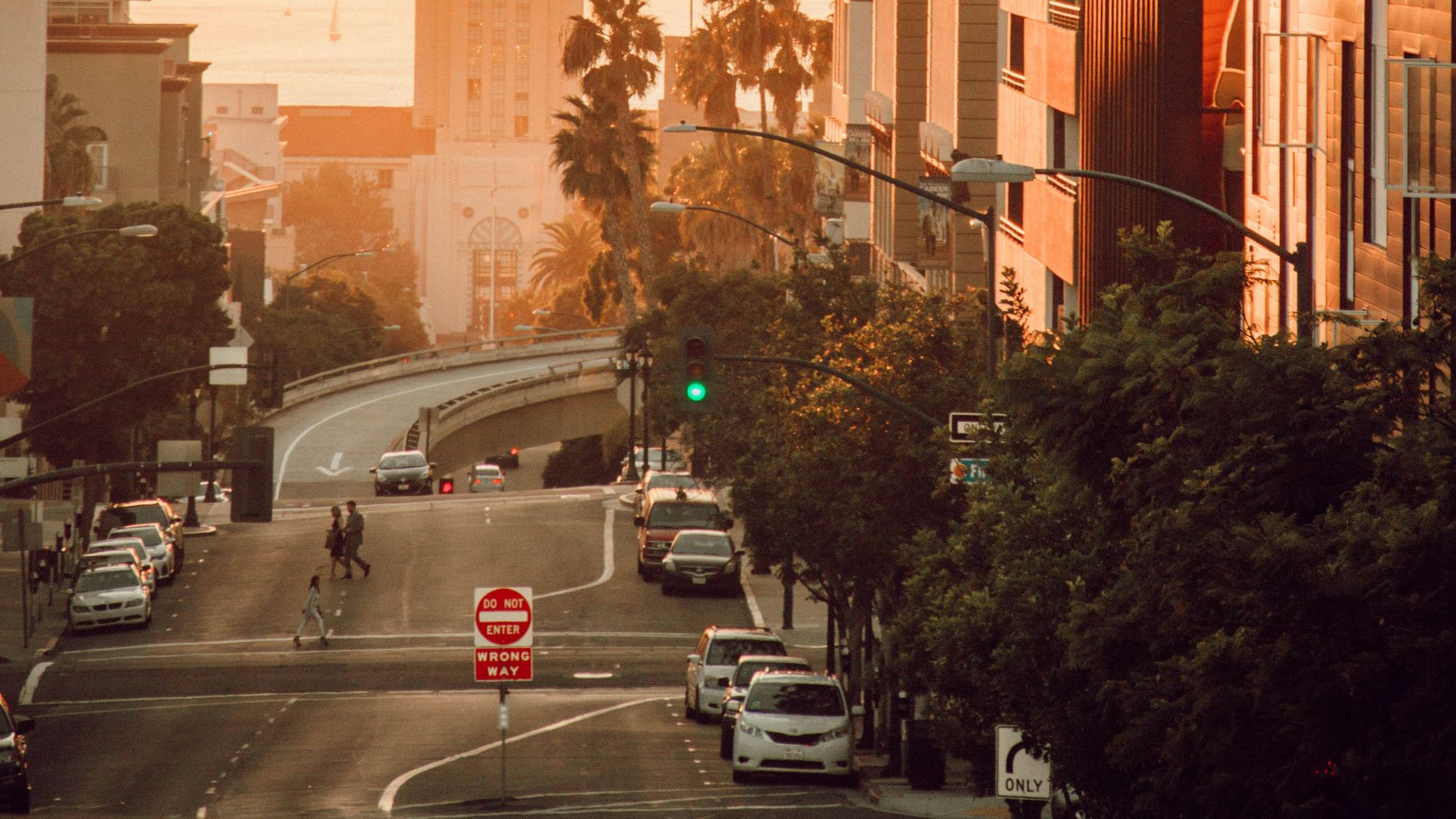 vehicles on road beside buildings during daytime
