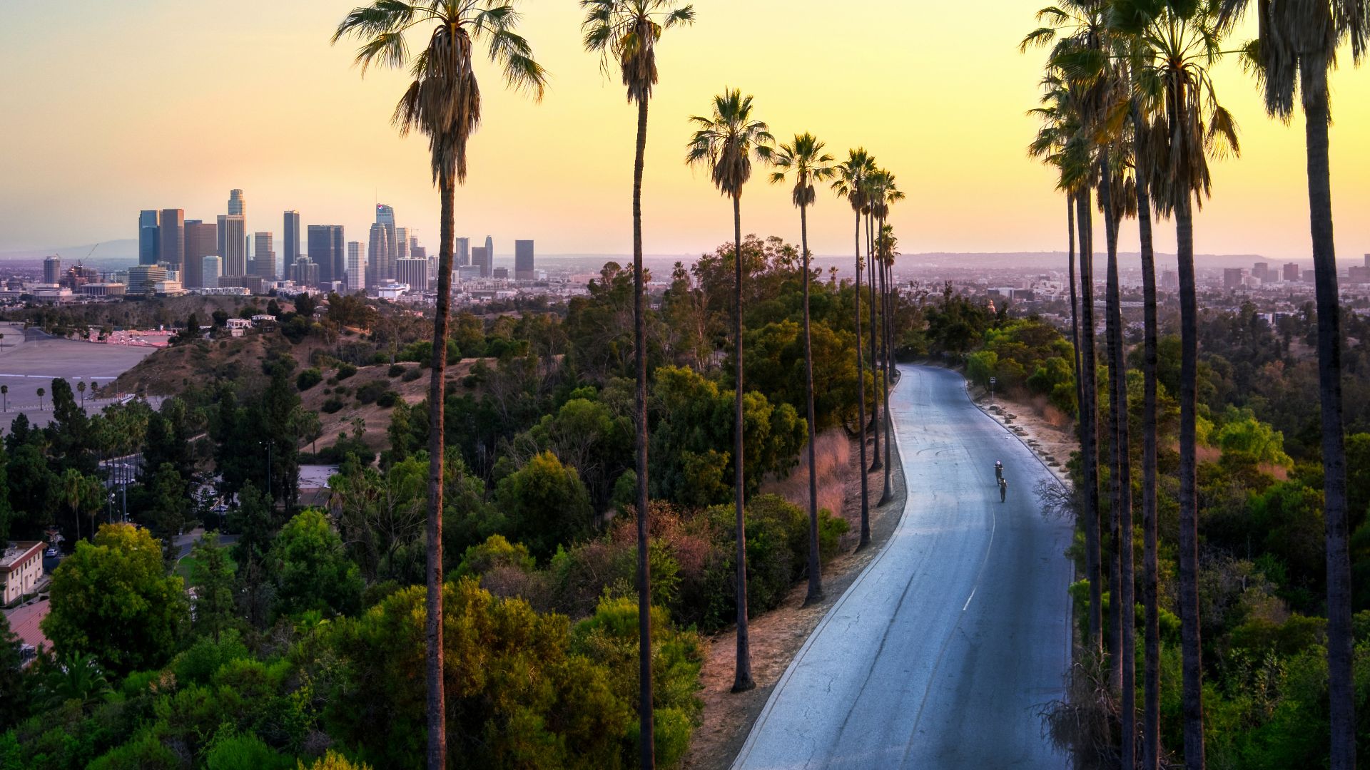 green palm trees near city buildings during daytime