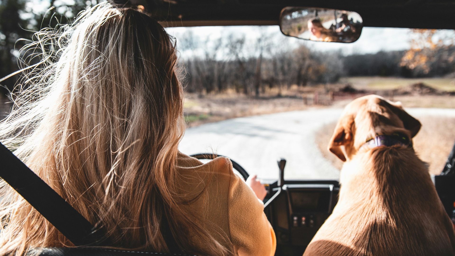 woman in brown long sleeve shirt sitting on car seat beside brown short coated dog during