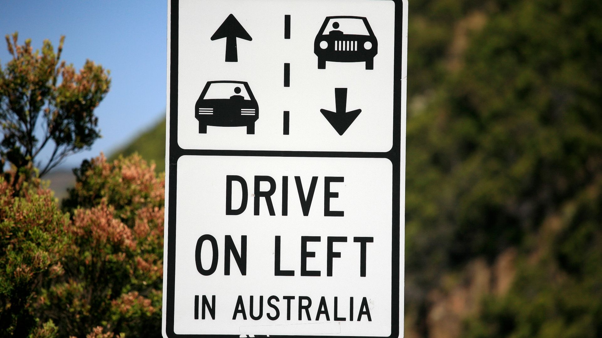 File:Drive on the Left! (6758869261).jpg