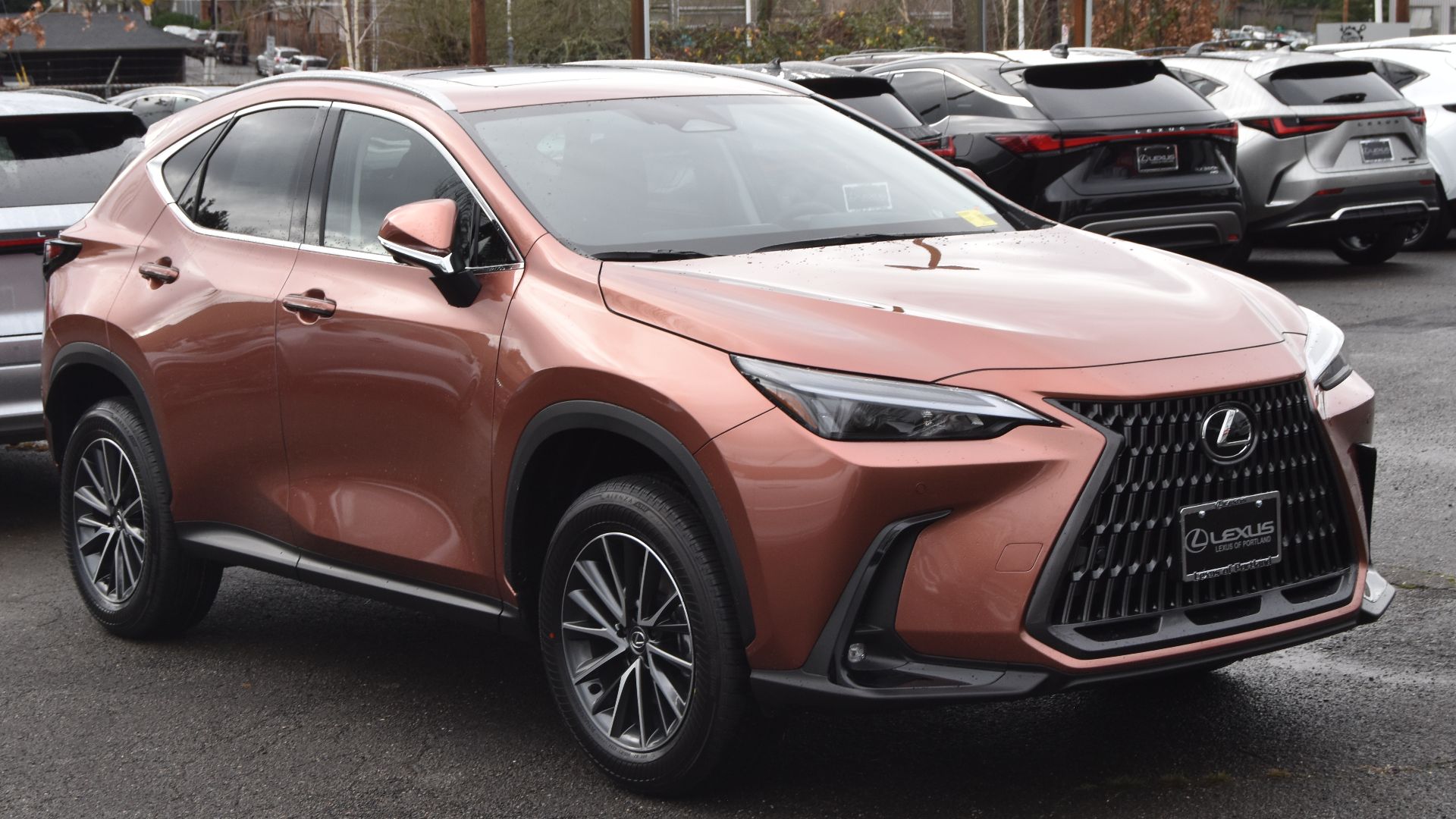 File:2024 Lexus NX.jpg