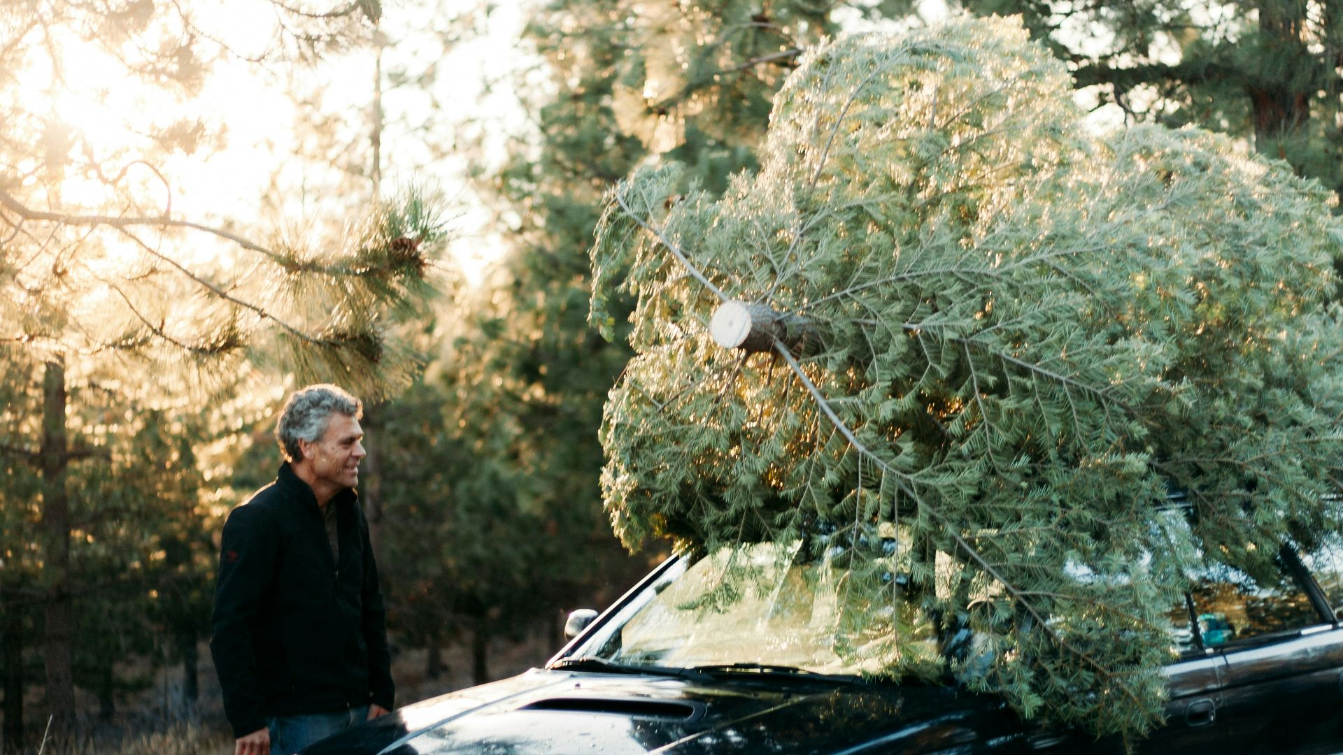 person wearing black jacket standing in front of blue vehicle during daytime