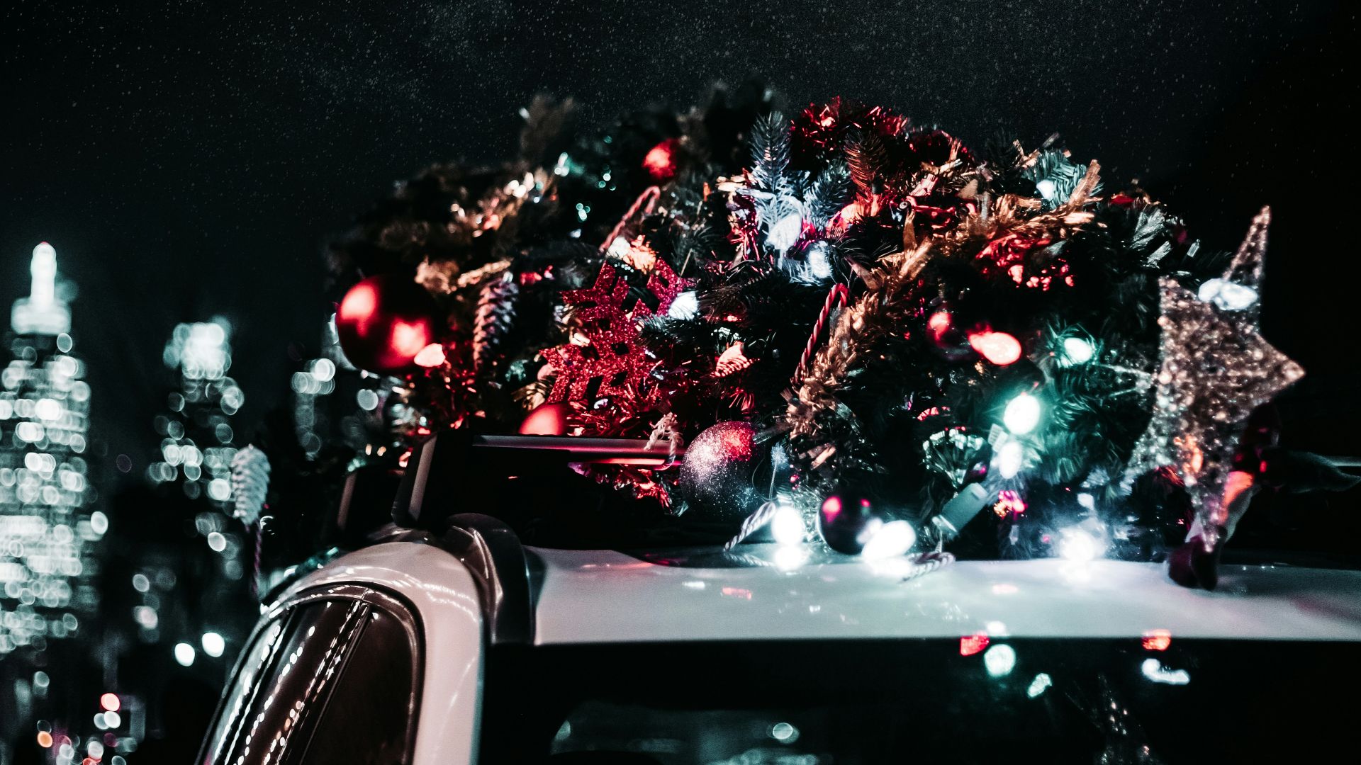 white vehicle carrying Christmas tree