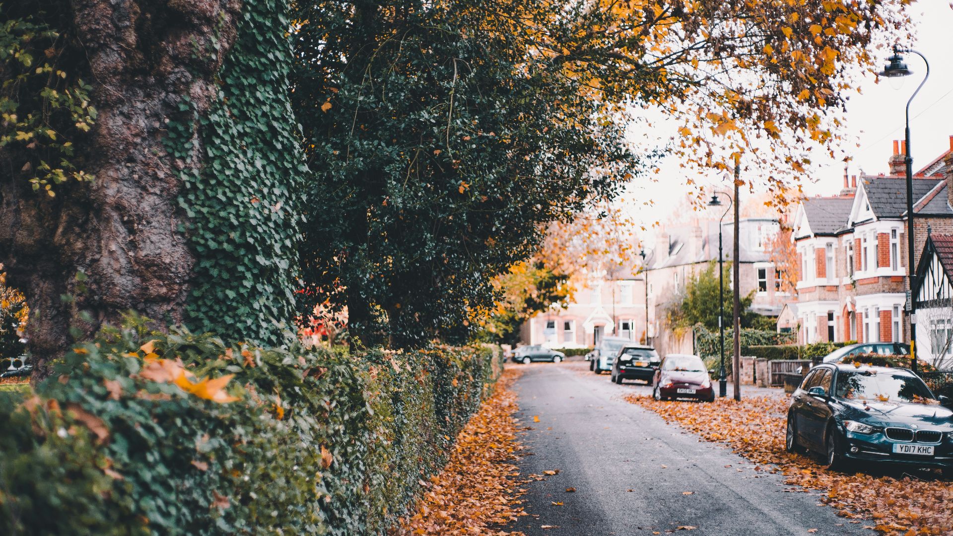 vehicle parked beside road and houses