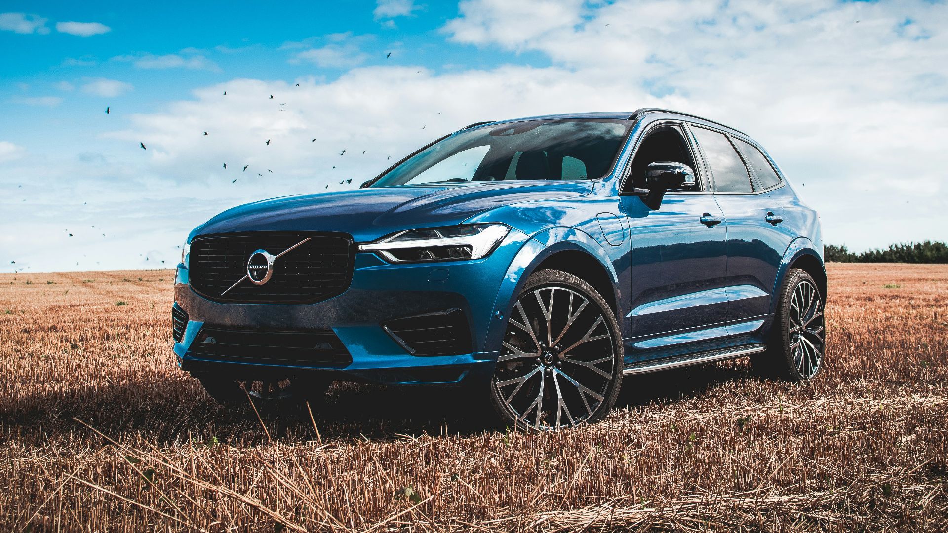blue bmw m 3 coupe on brown field under blue and white sunny cloudy sky during
