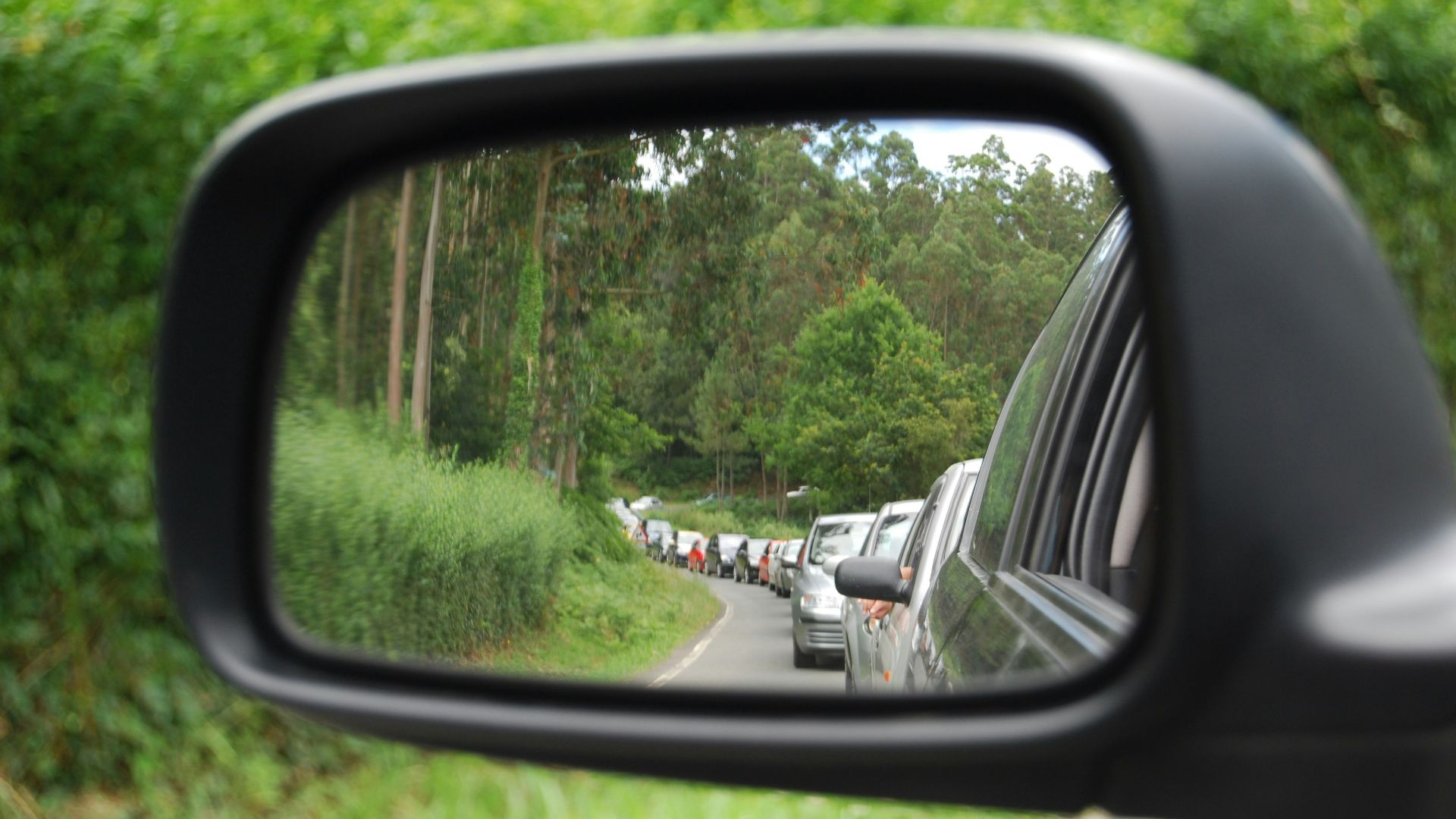 car side mirror showing green trees during daytime