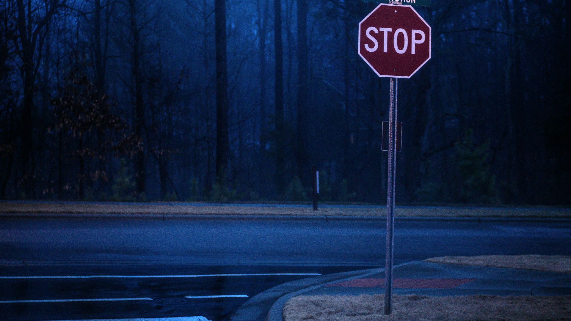stop road sign on sidewalk near forest